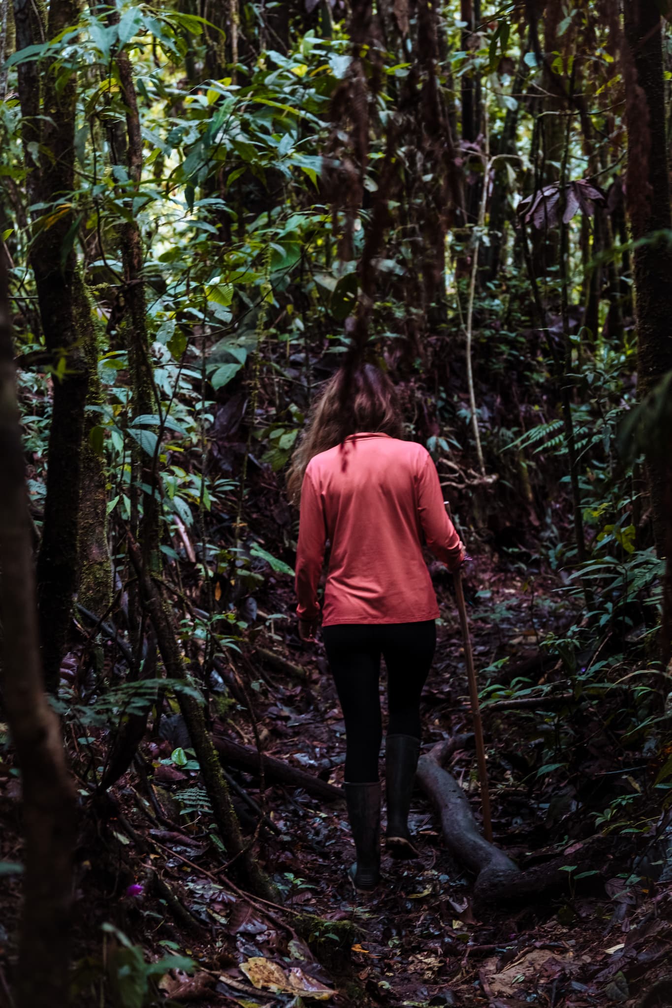 bremem reservas filandia