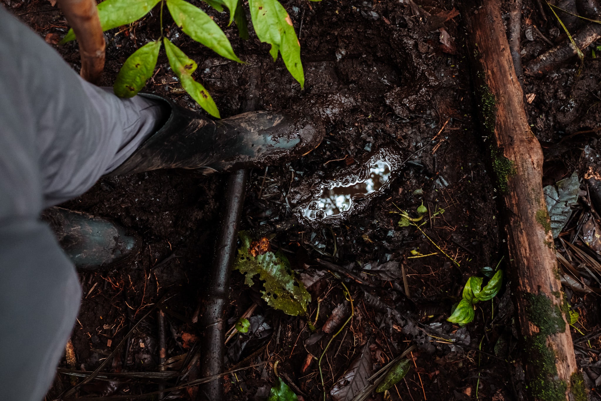 equipement barbas bremen filandia