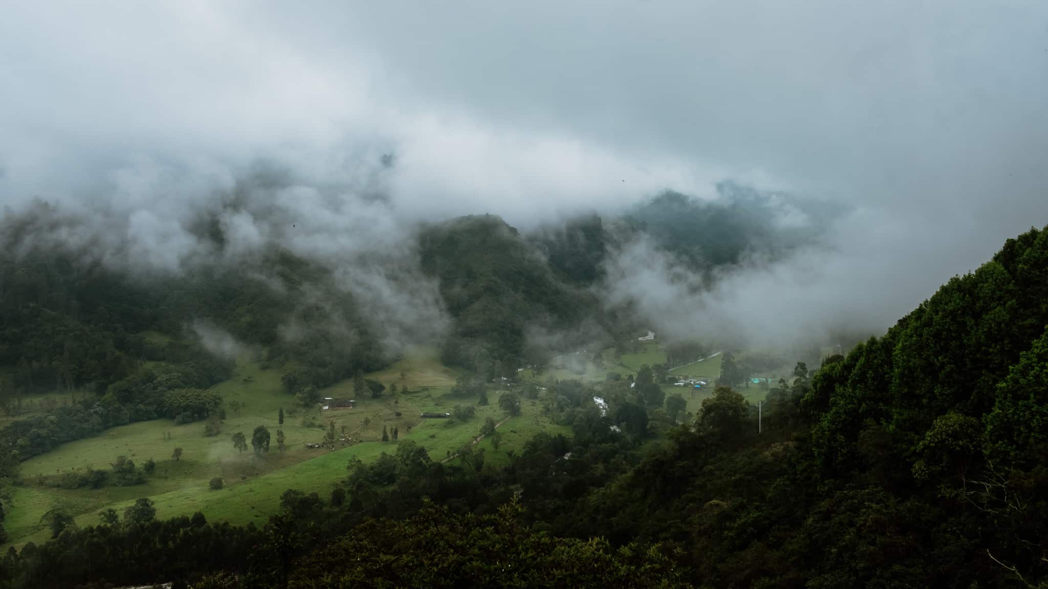vallee eje cafetero mirador salento