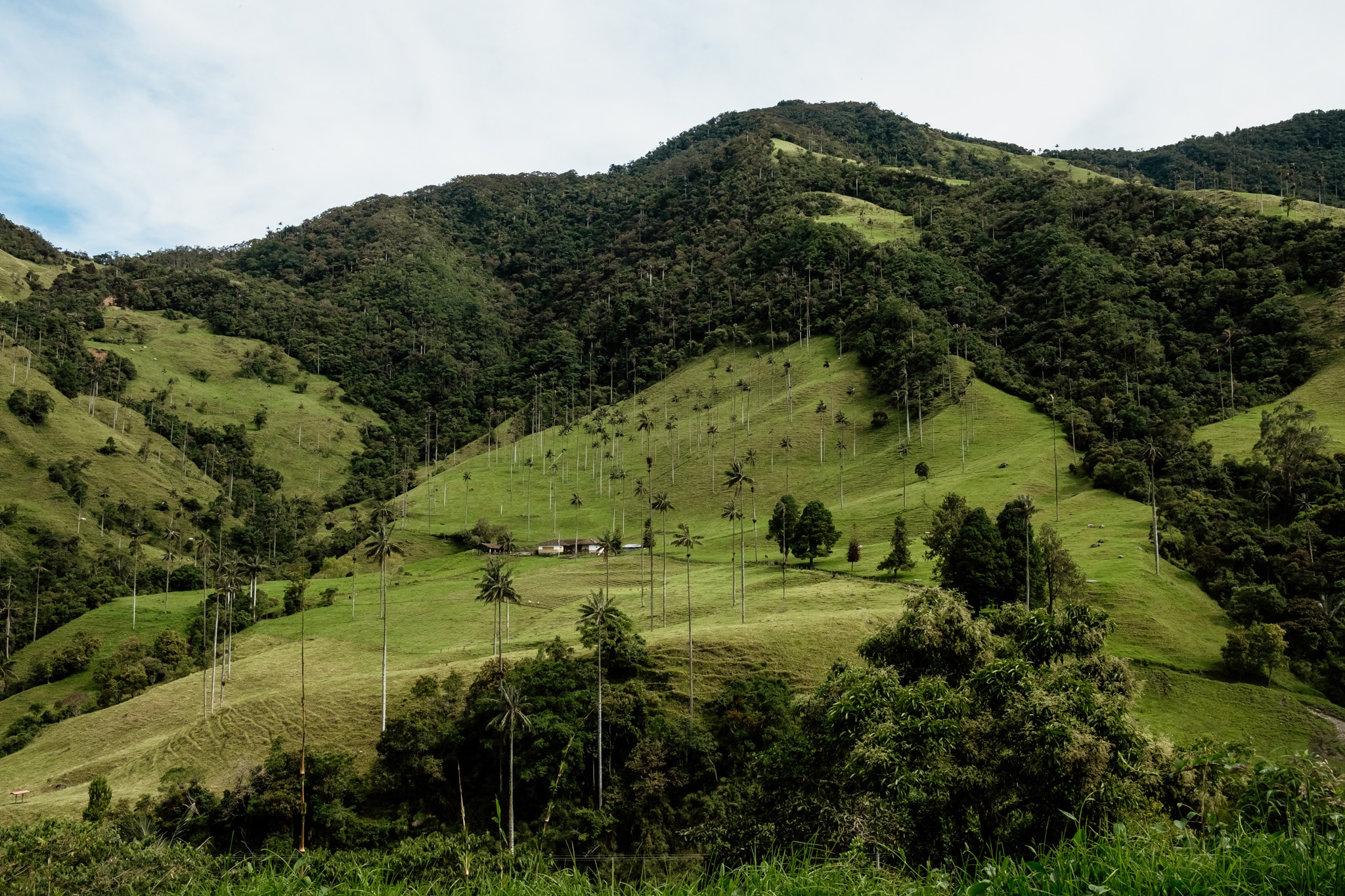 trek carbonera salento colombie