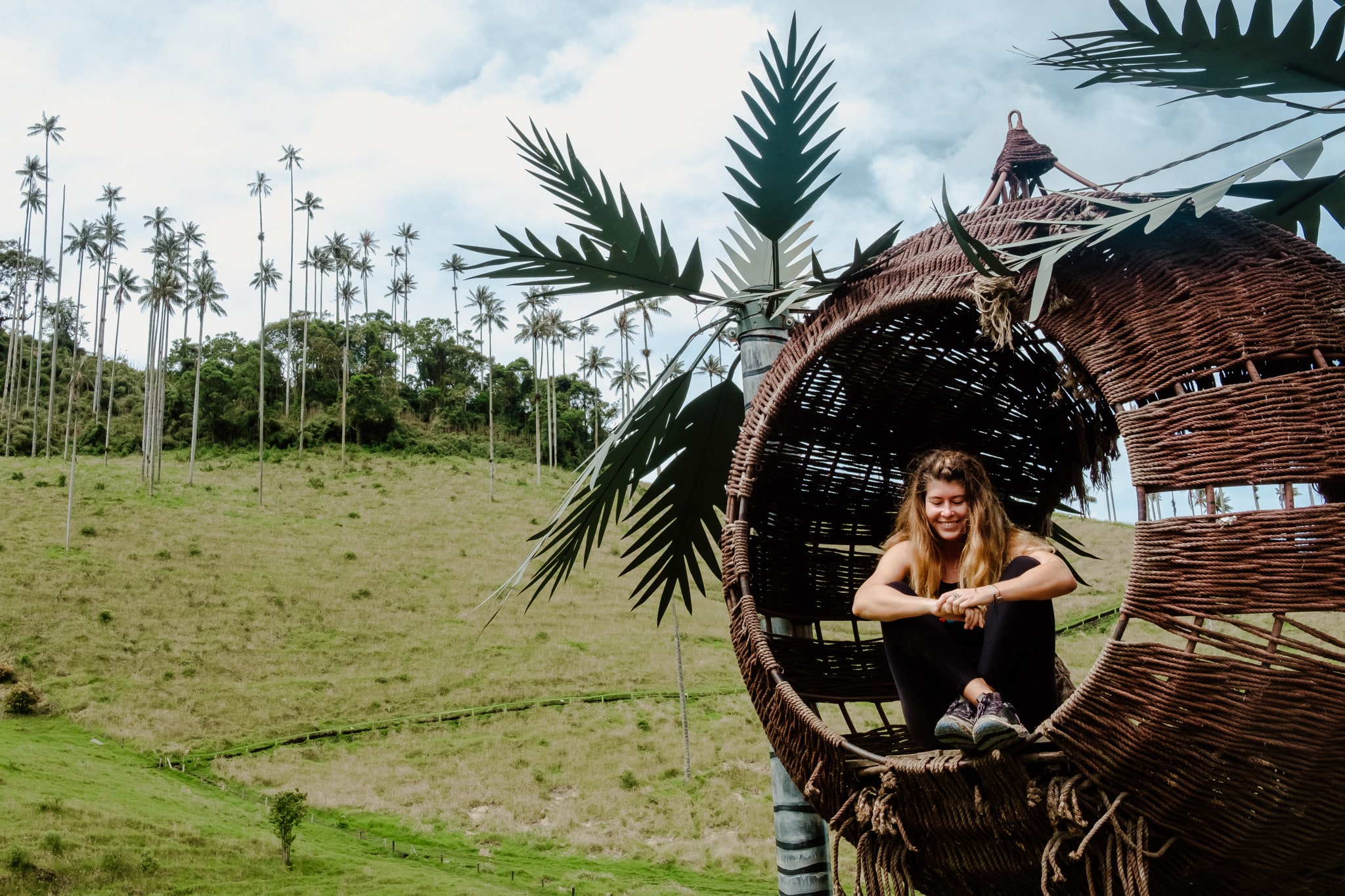 marsupilami vallee cocora salento