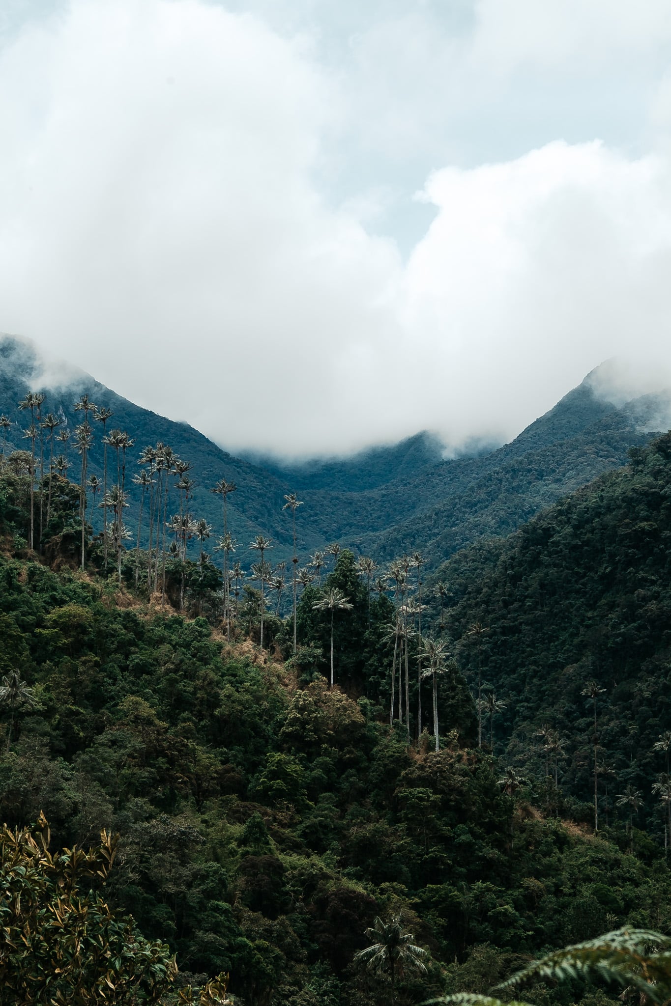 randonnee eje cafetero salento