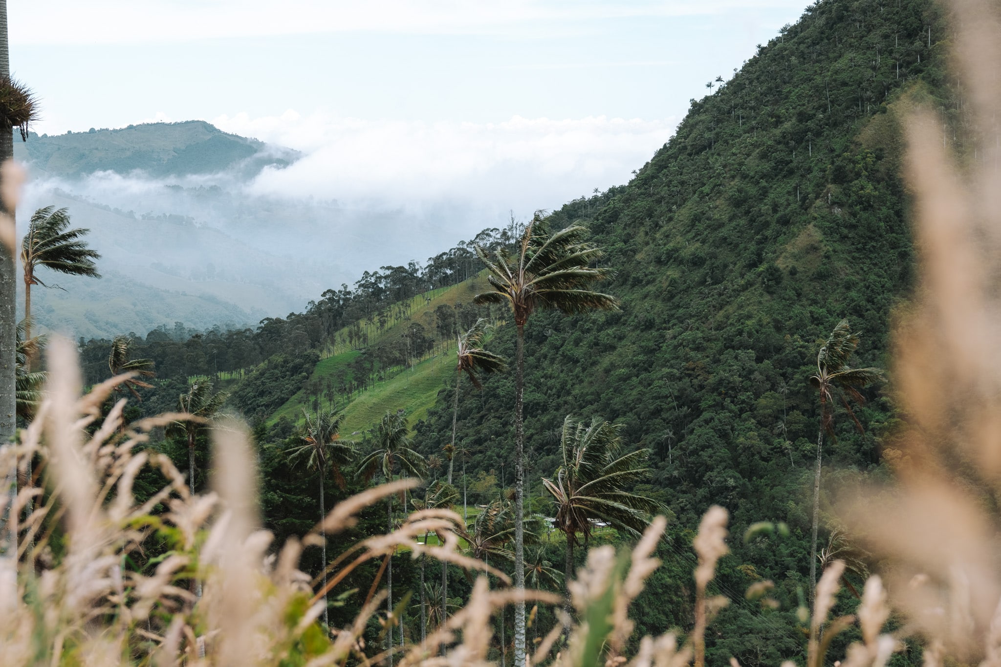 danse des nuages cocora salento