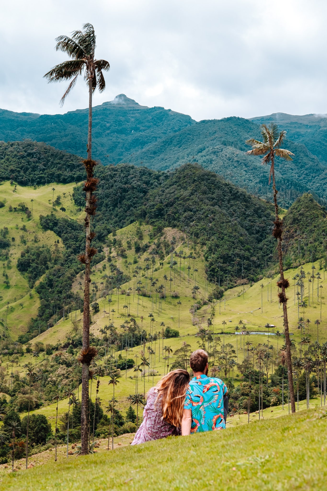 salento visiter vallée de cocora
