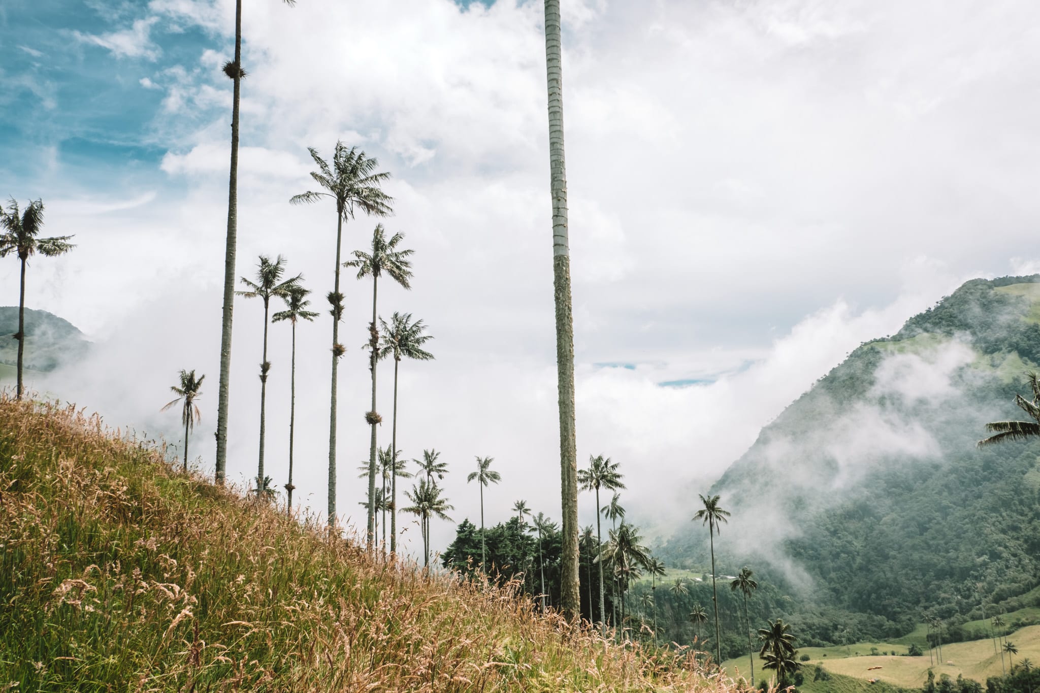 meteo salento colombie