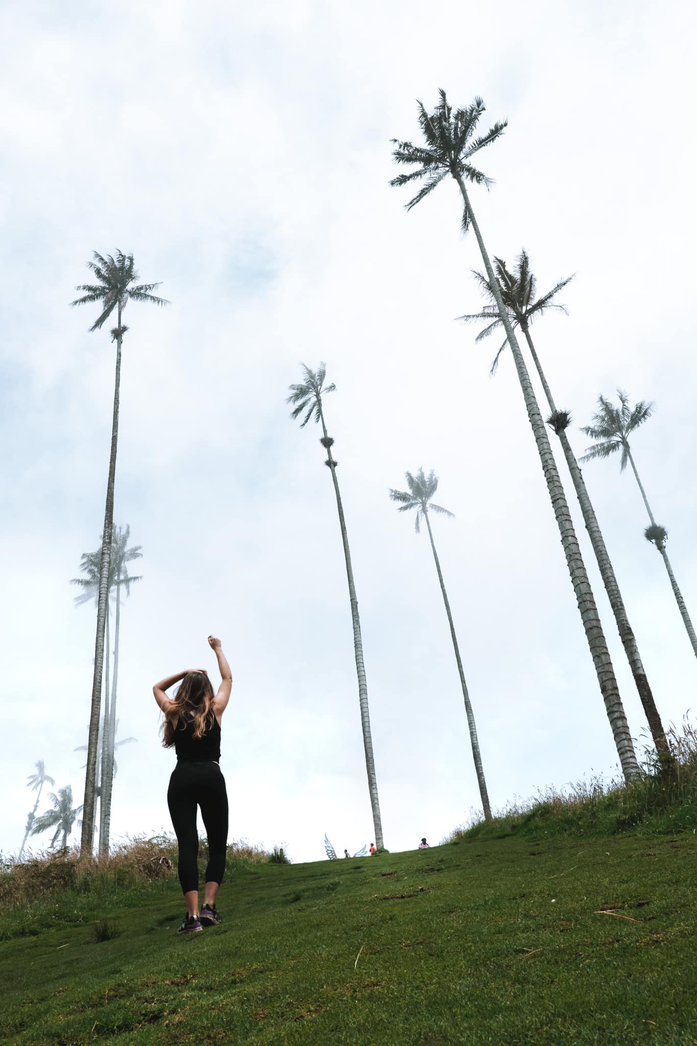 prendre des photos vallee cocora