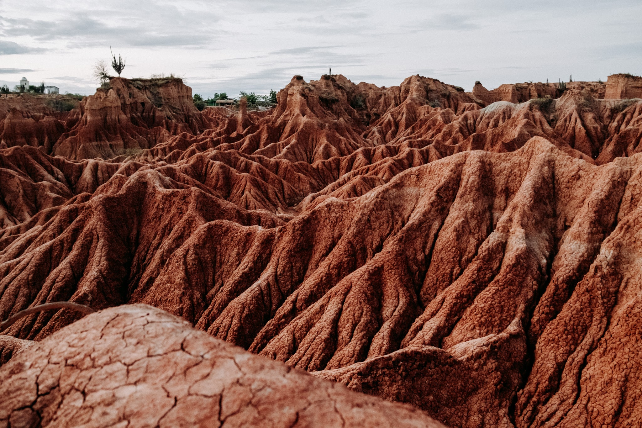 desert Tatacoa : un paysage hors du temps