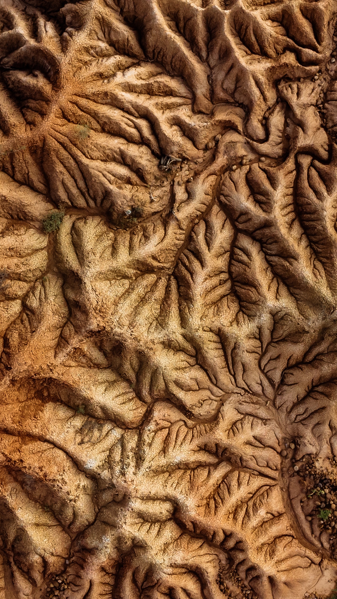 drone desert tatacoa