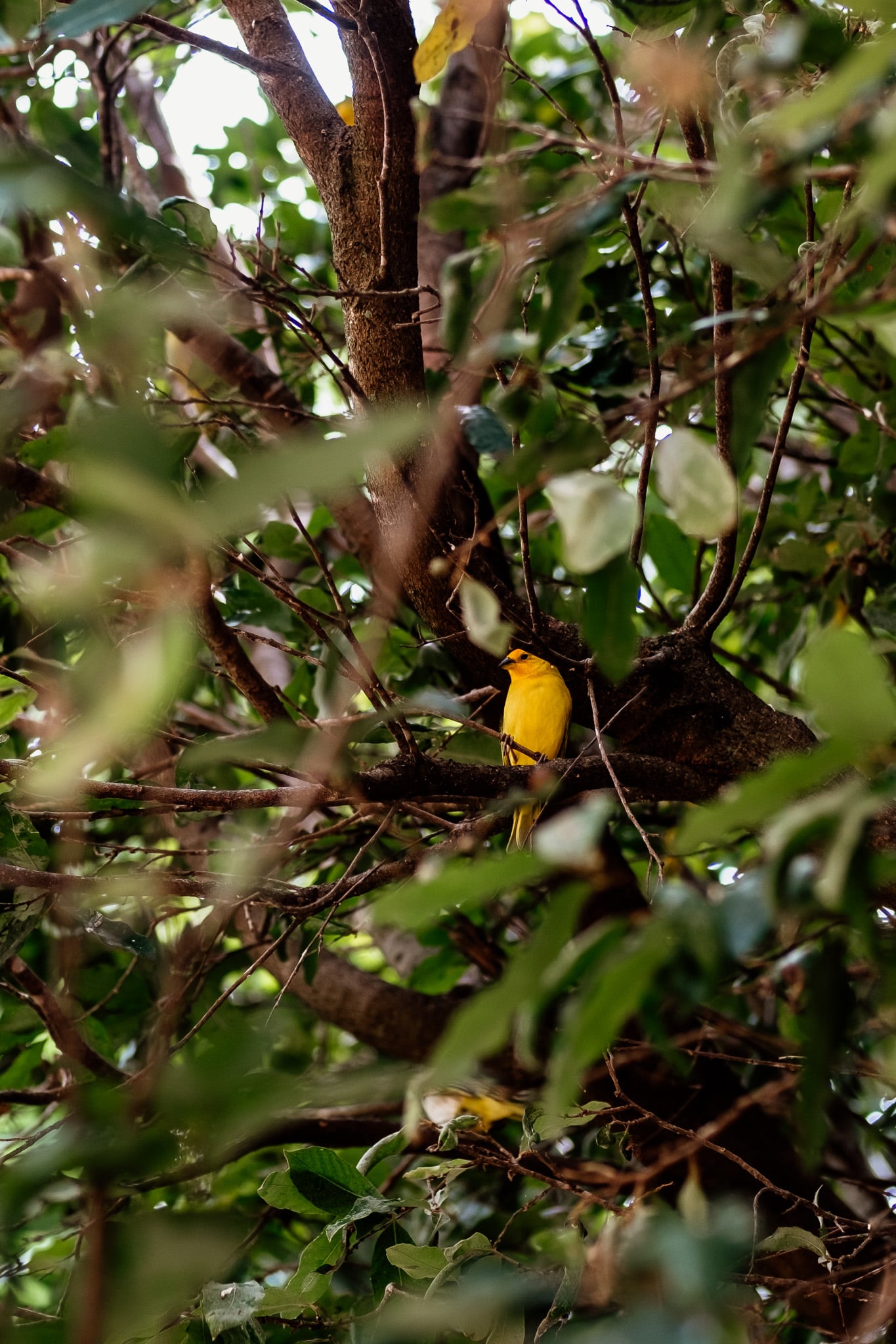 photo nature san gil camino real santander