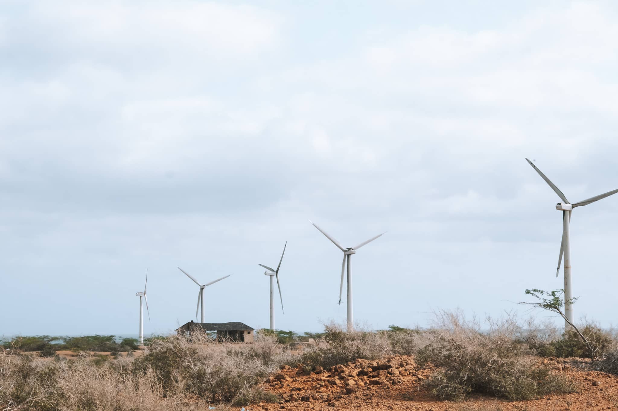 champ eolien guajira
