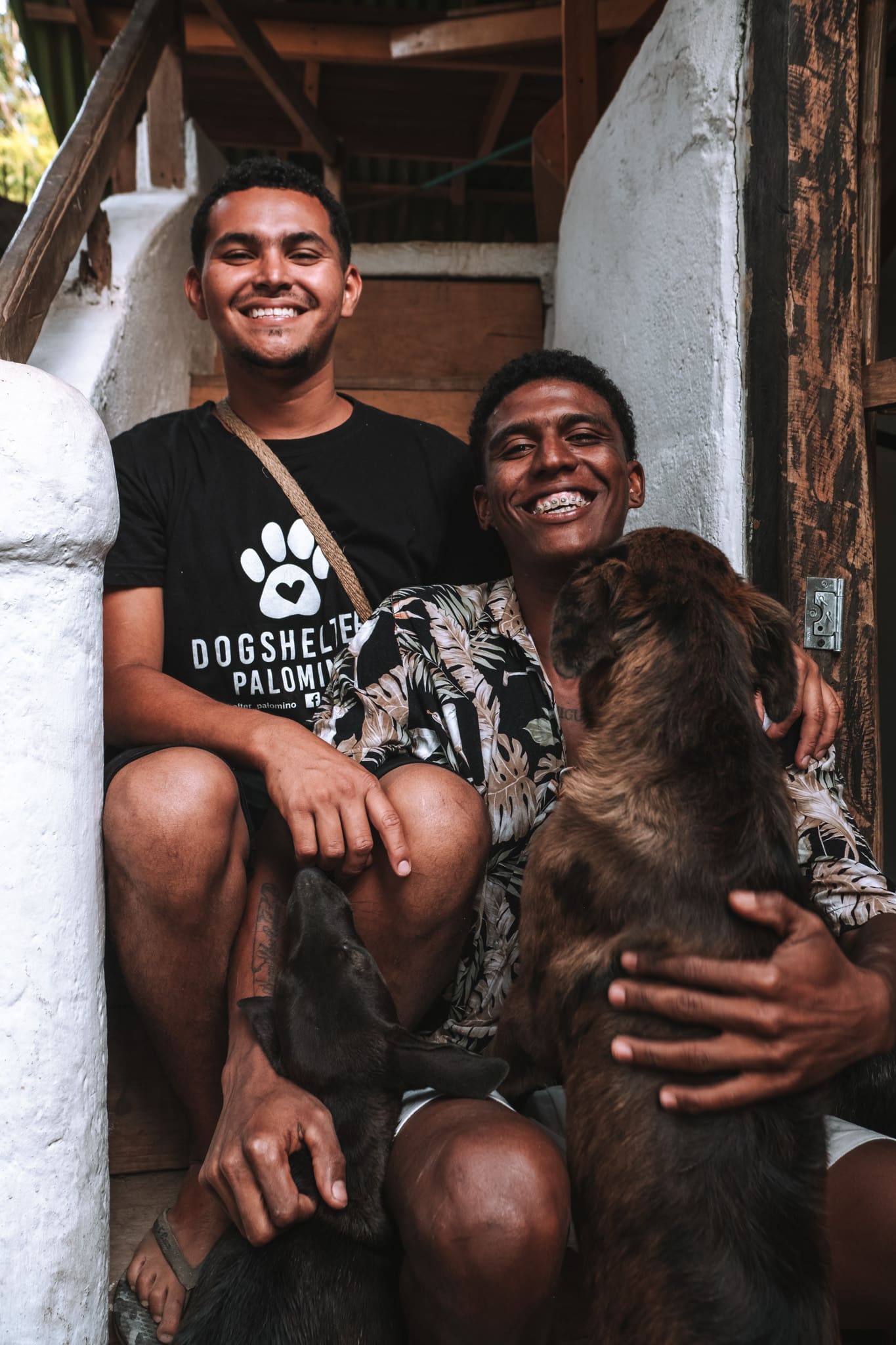 fondateurs dog shelter palomino