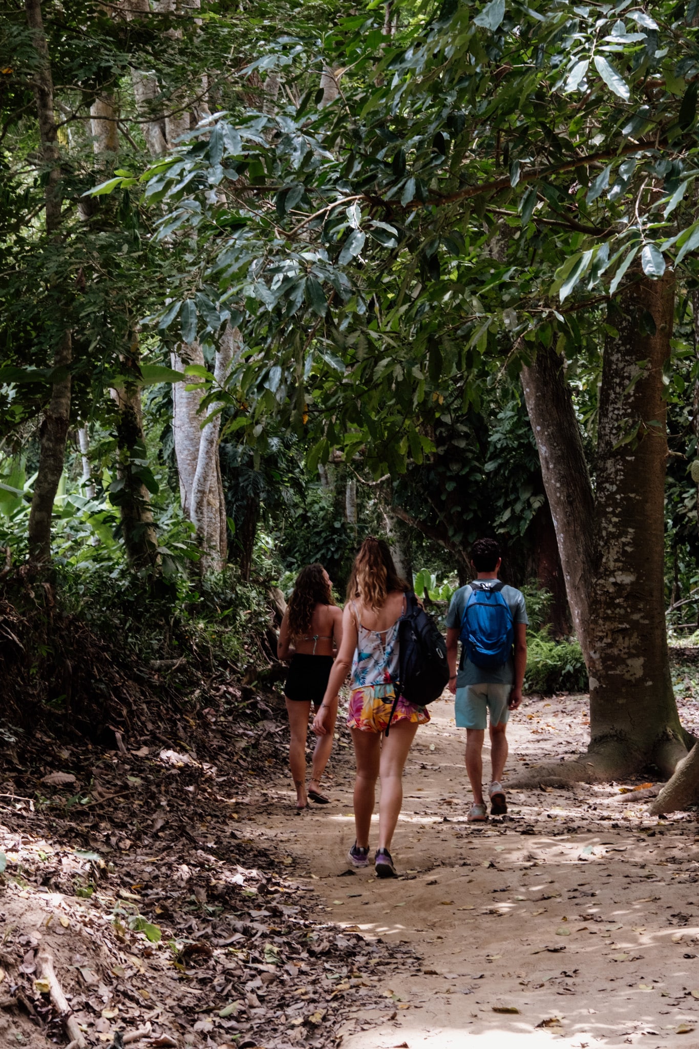 quebrada de la valencia palomino