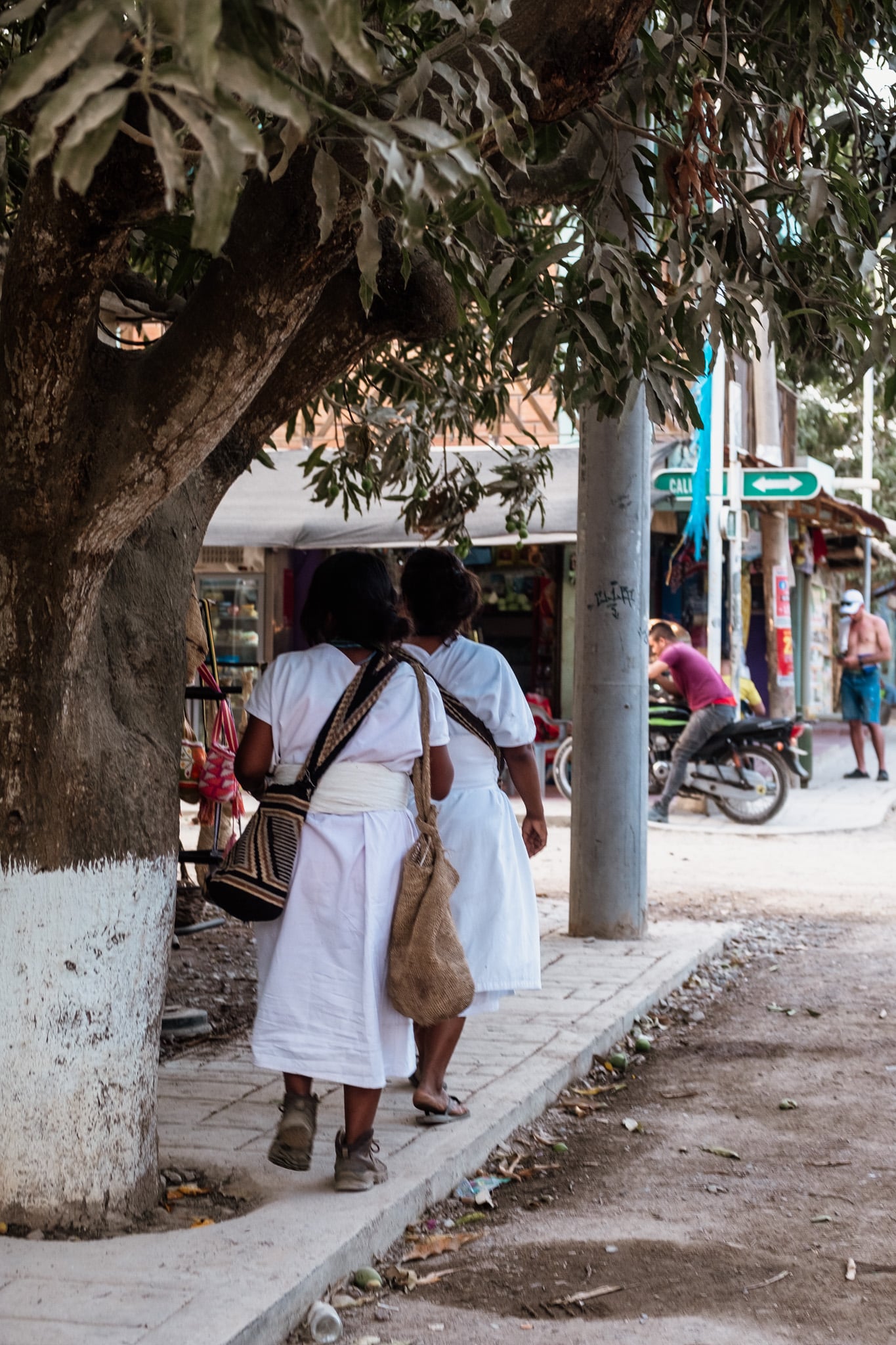 wayuu palomino colombia