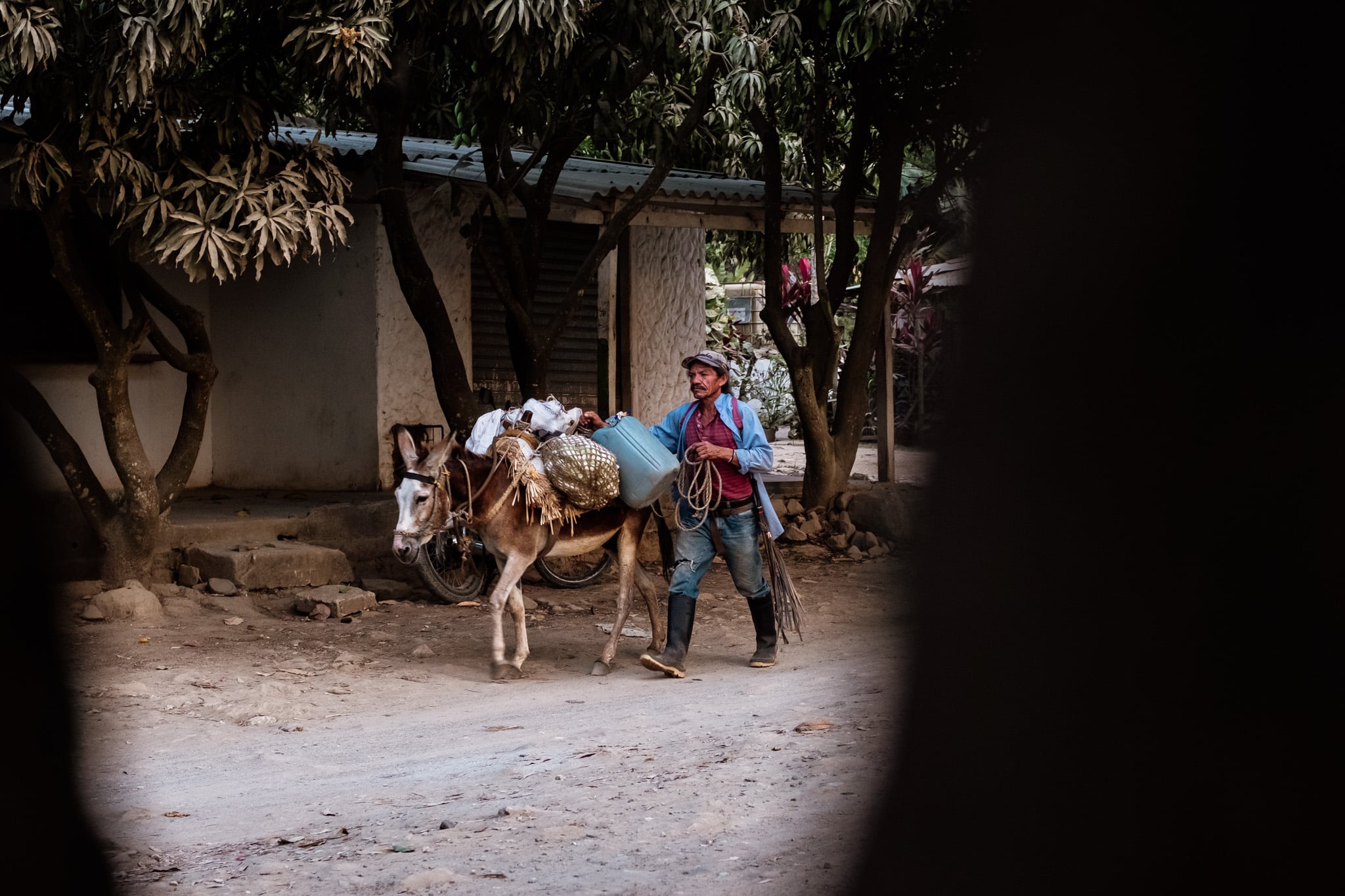 palomino colombie village