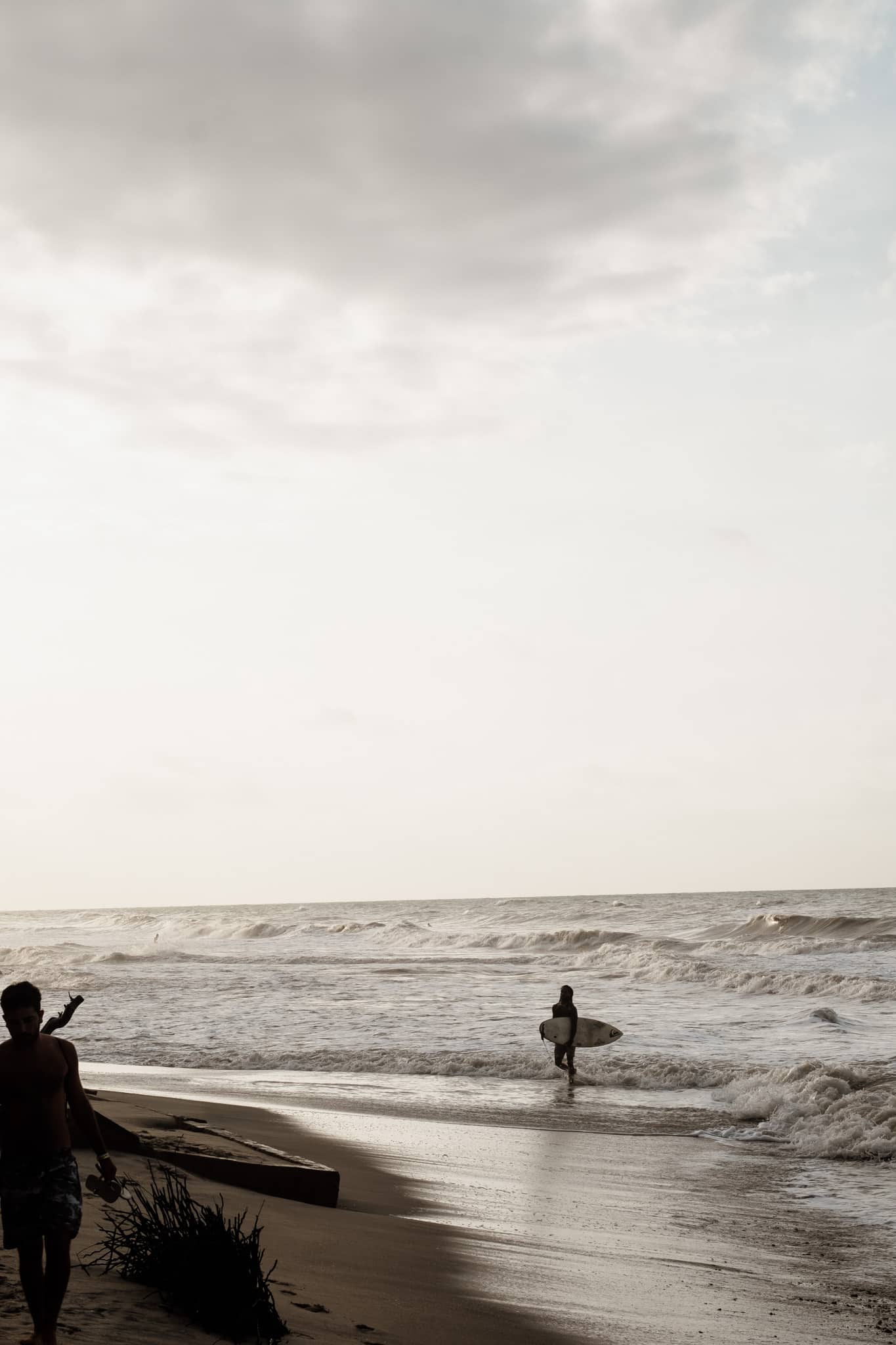 palomino surf colombie