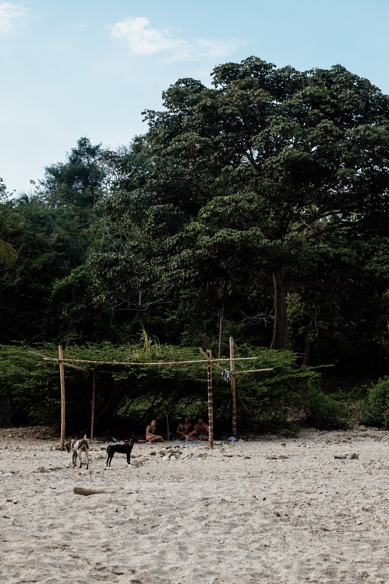 se baigner à la riviere depuis palomino