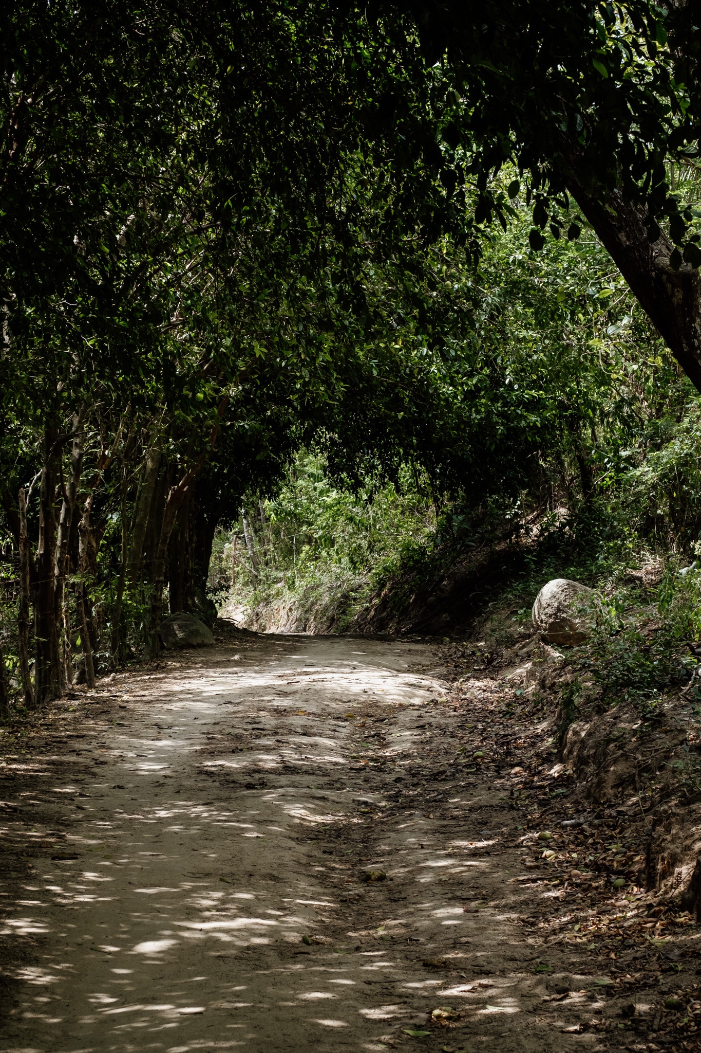 entree calabazo tayrona