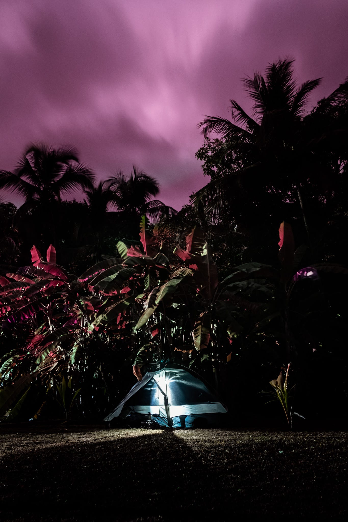 camping don pedro tayrona