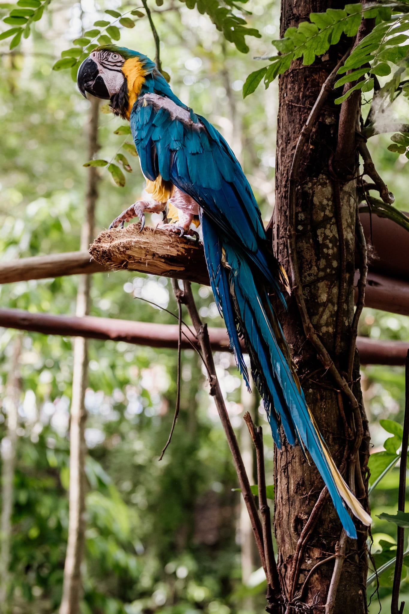 visiter jardin botanique san gil