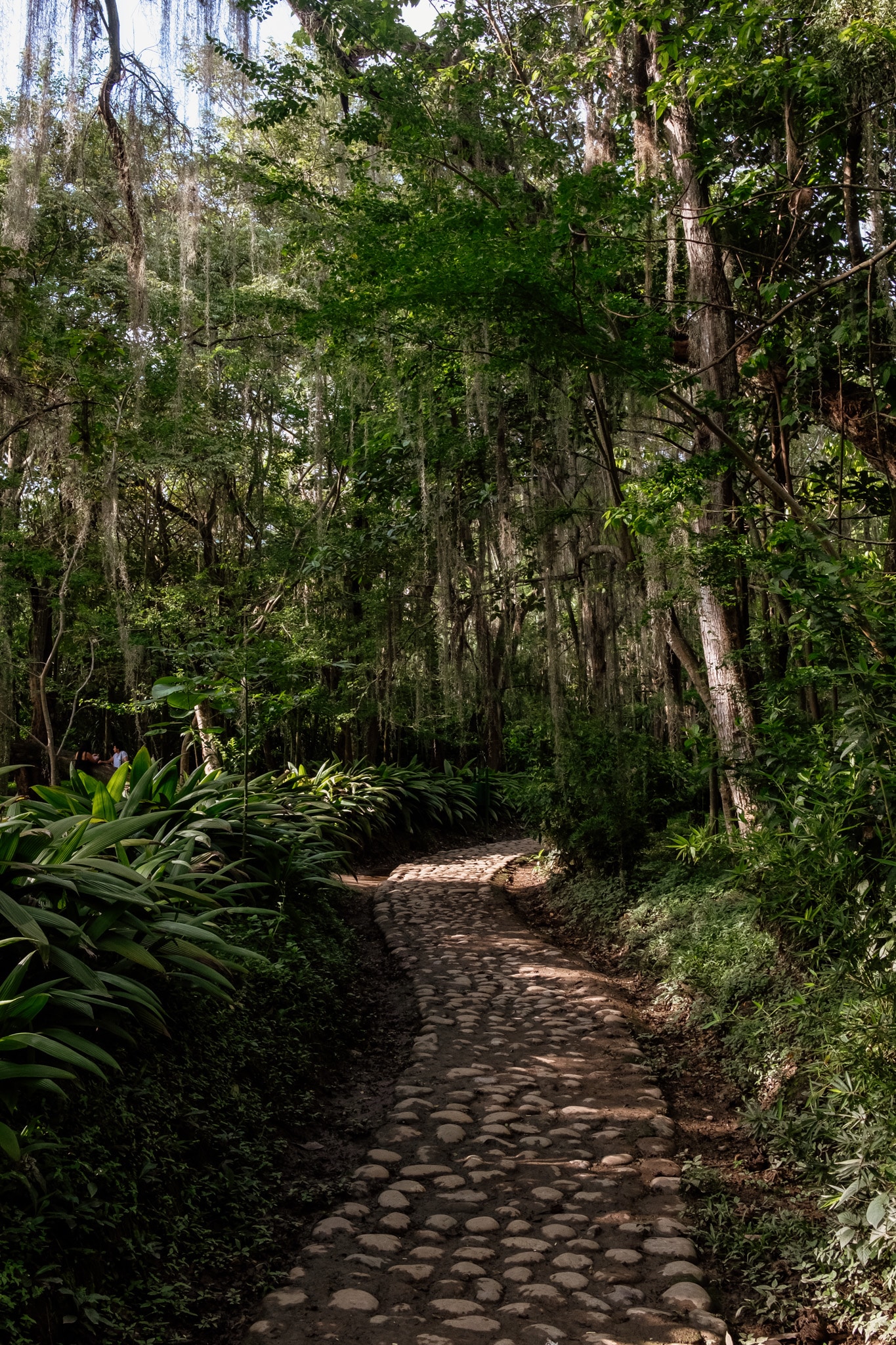 san gil jardin botanique