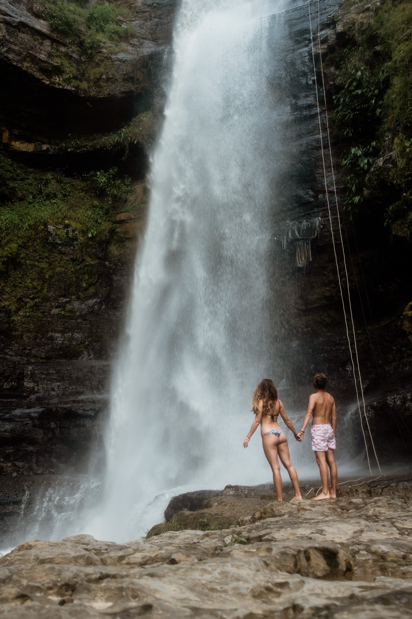 paresseux curieux juan curi