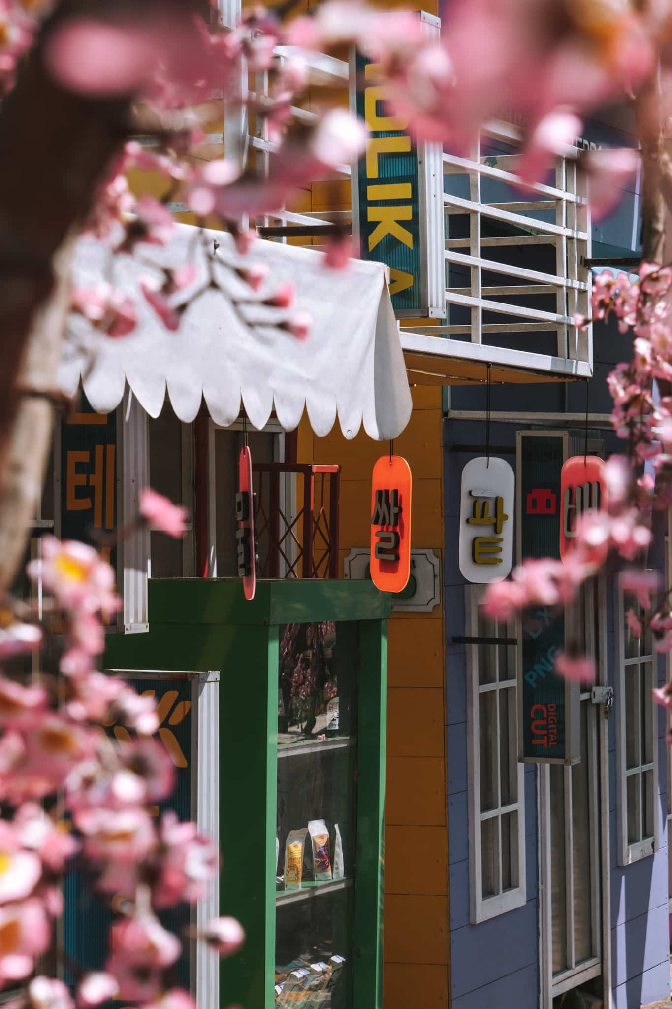 flor wista coban talun