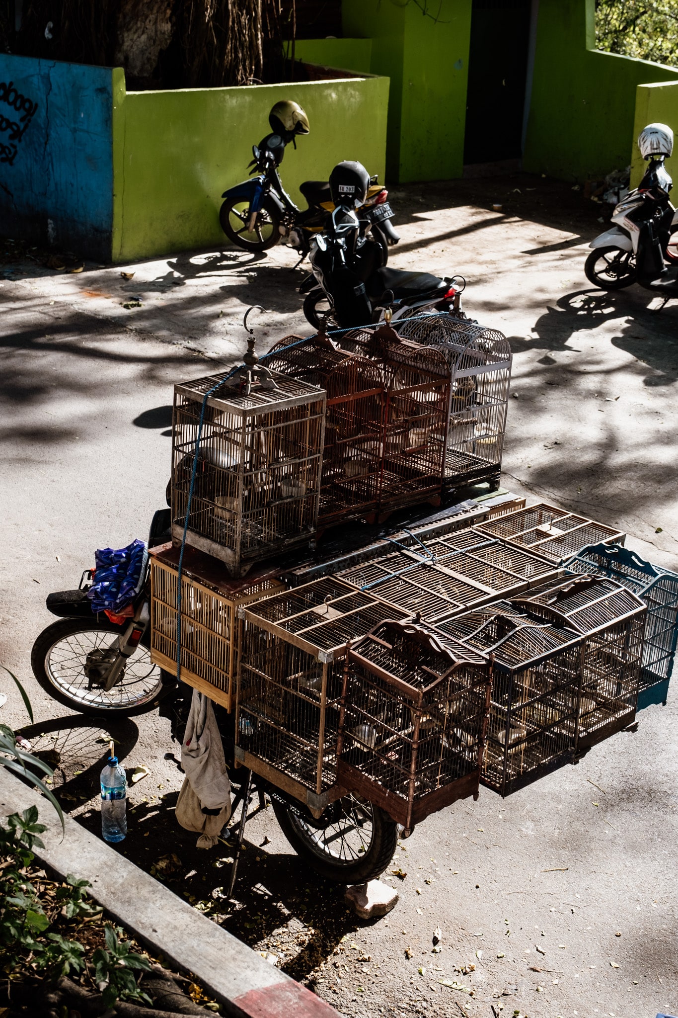 marche aux oiseaux malang indonesie
