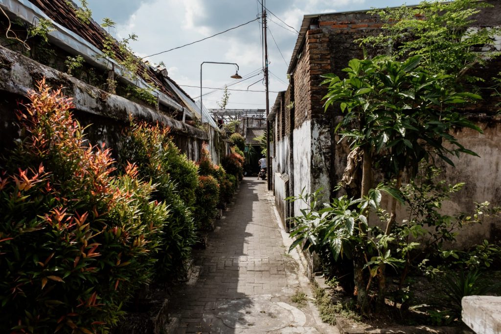 karton jogya