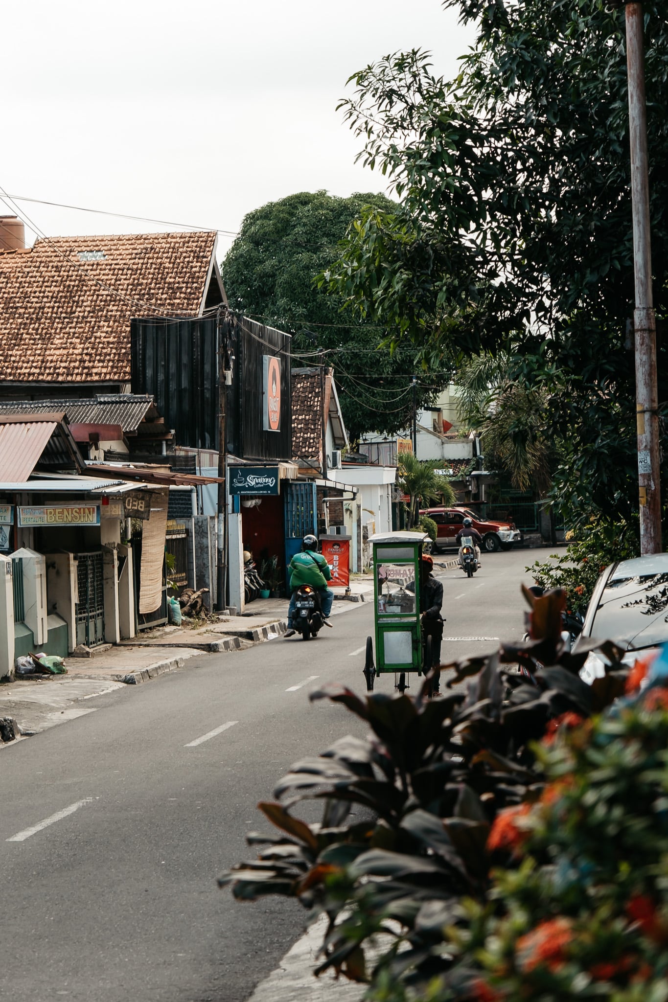 la vie suit son cours