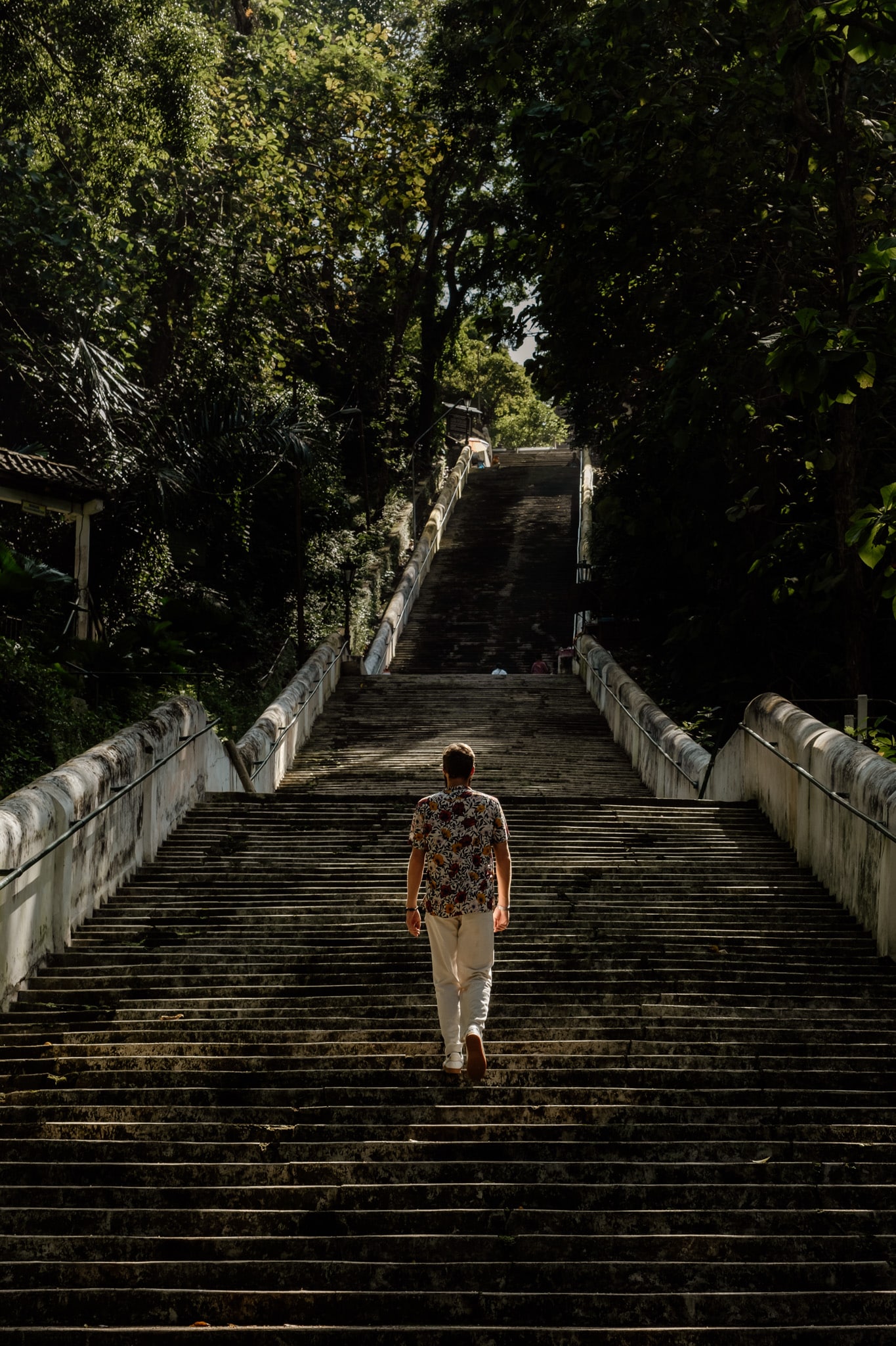 mimi cimetiere royal yogyakarta