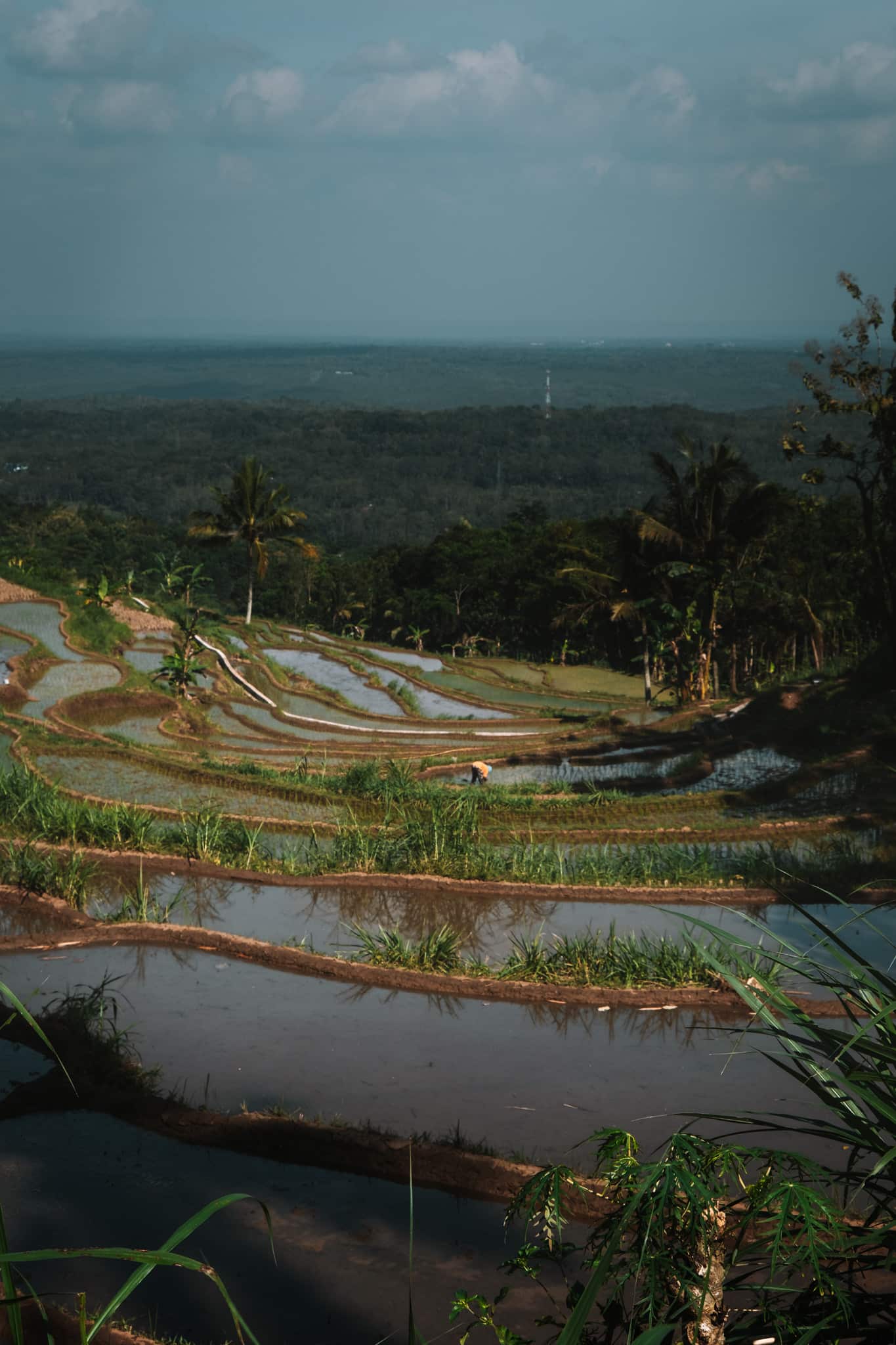 scooter road trip yogyakarta