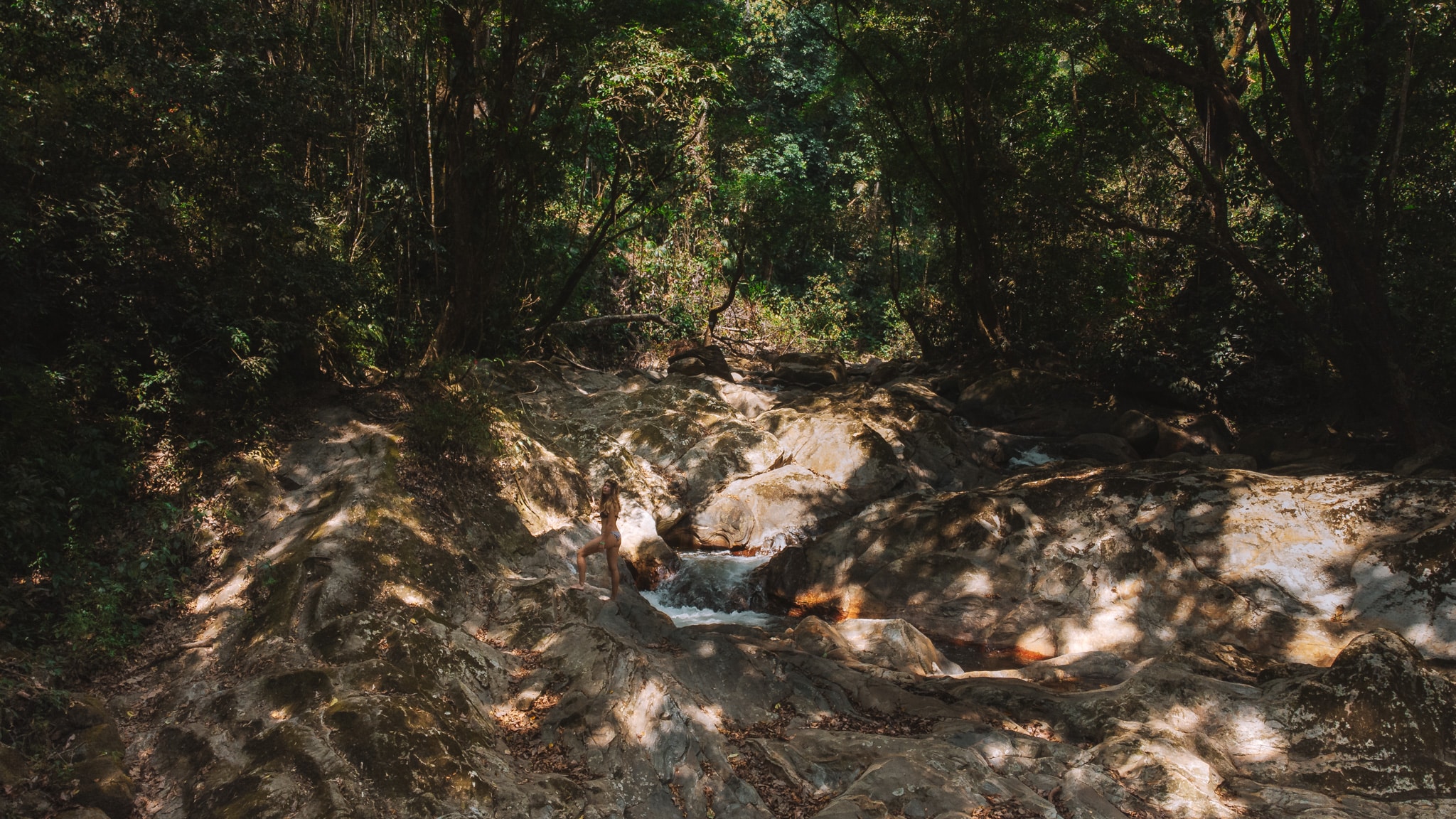 balade dans la foret minca