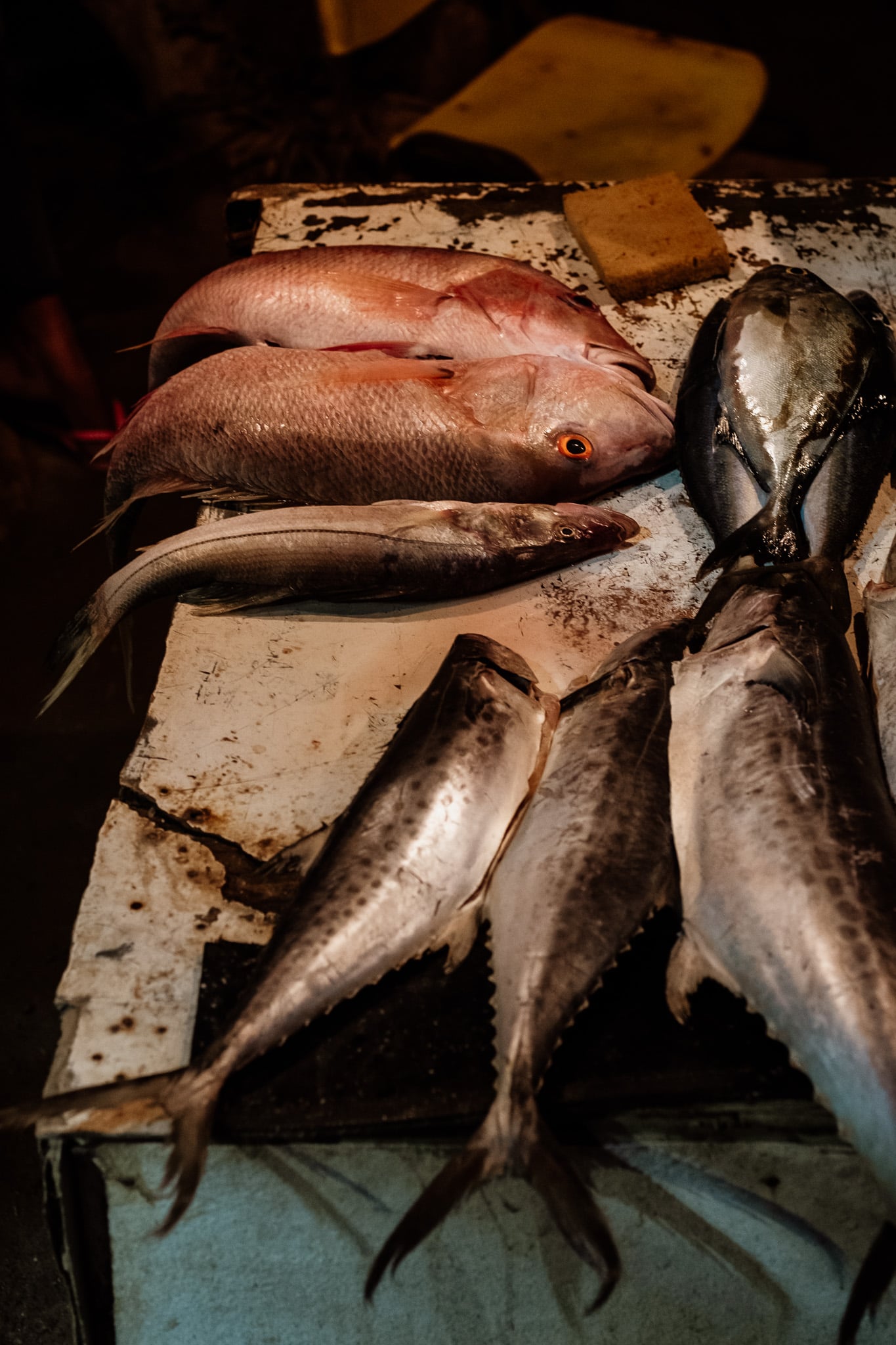 poisson frais taganga