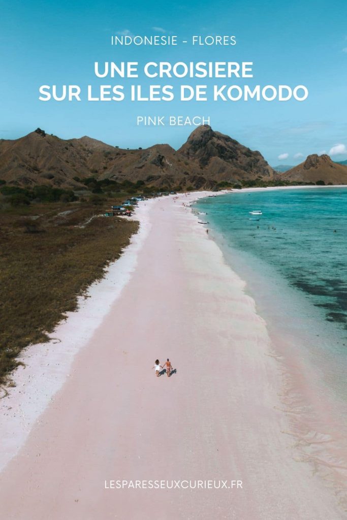 croisiere sur les iles de komodo : notre guide voyage en indonesie