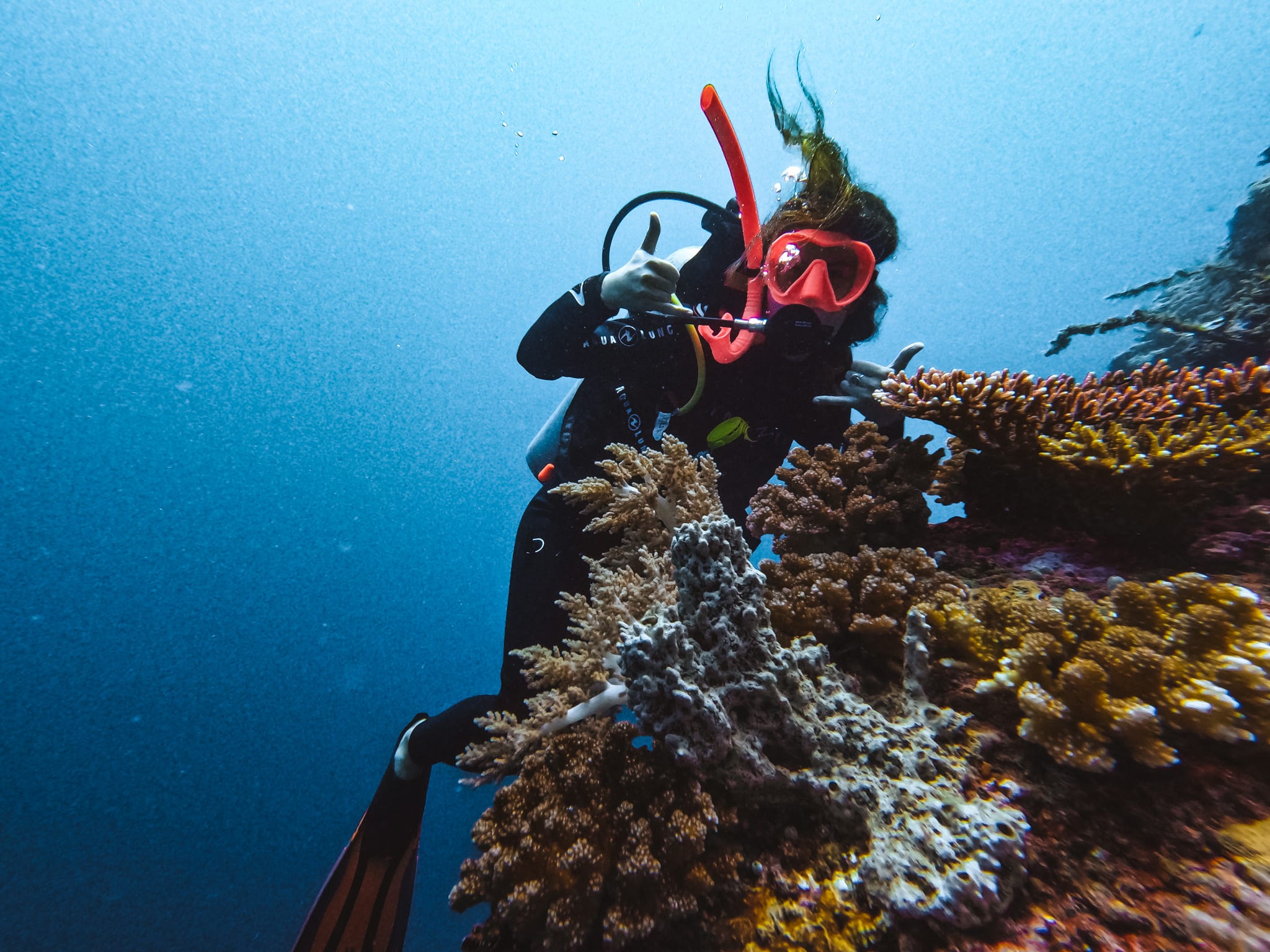 plongee pemuteran bali