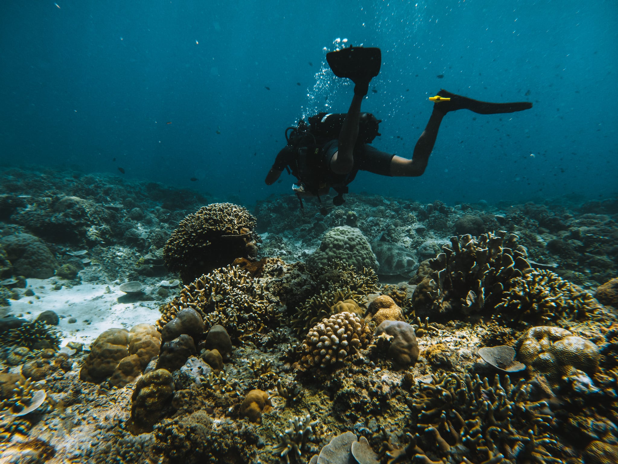 plonge ile gili trawangan