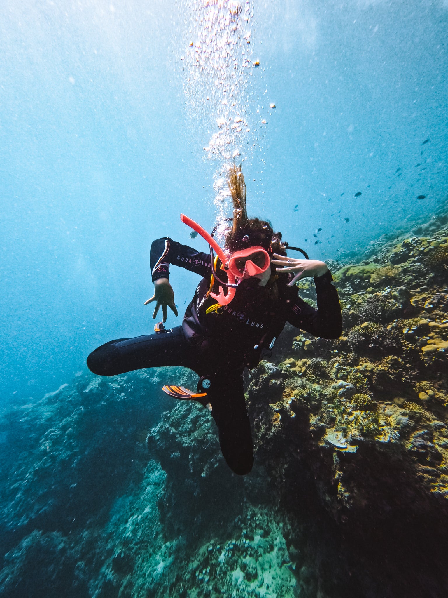 Phocea Bali plongée pemuteran