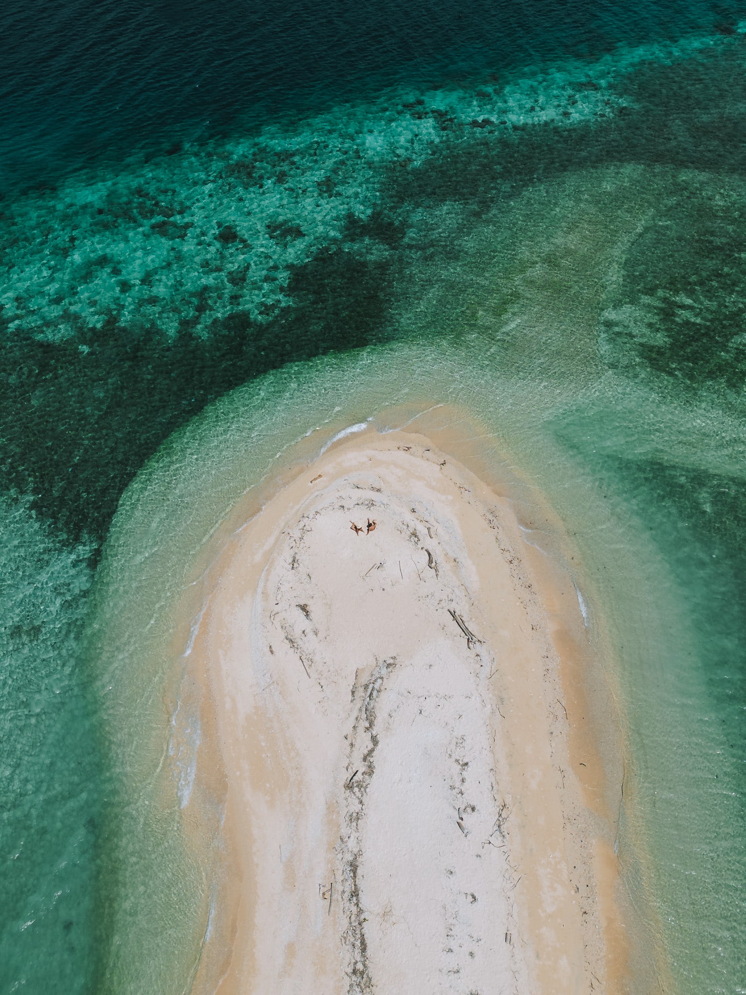 menjangan drone view