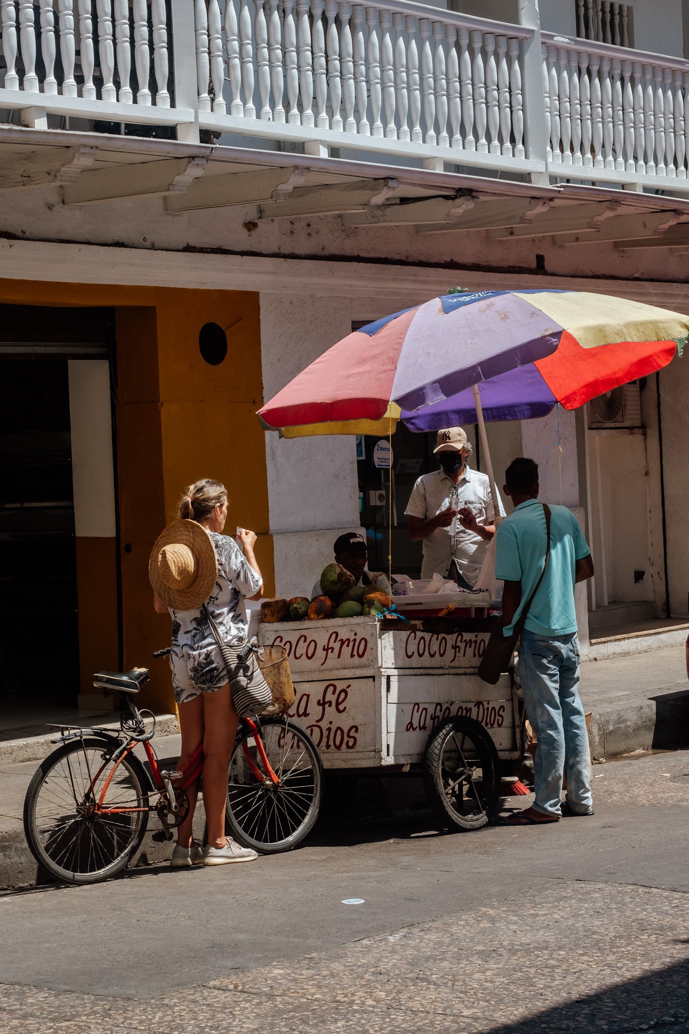 des noix de cocos fraiches