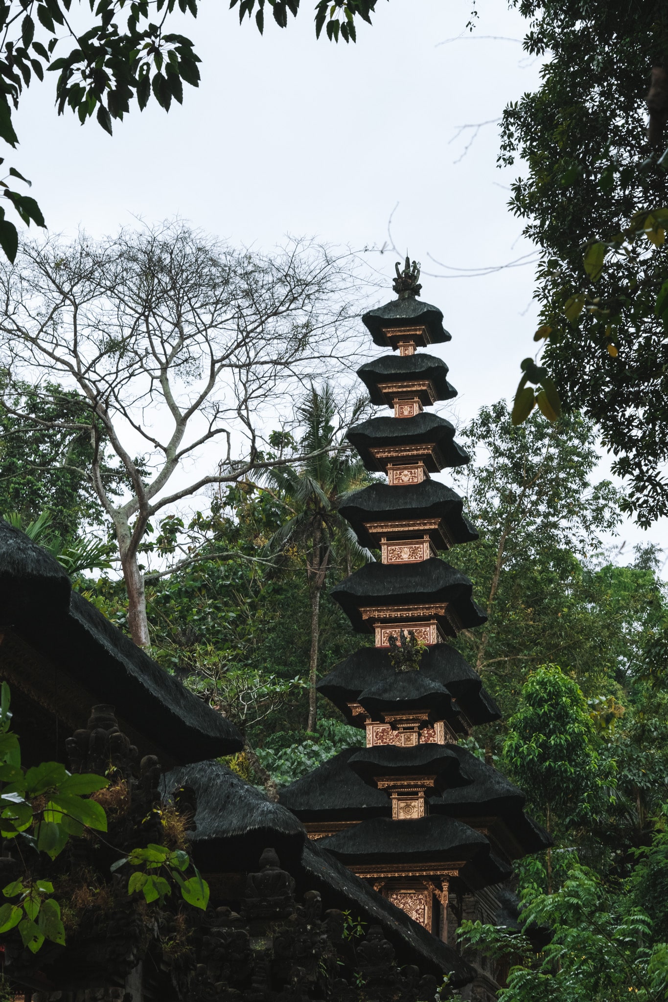 ridge walk ubud