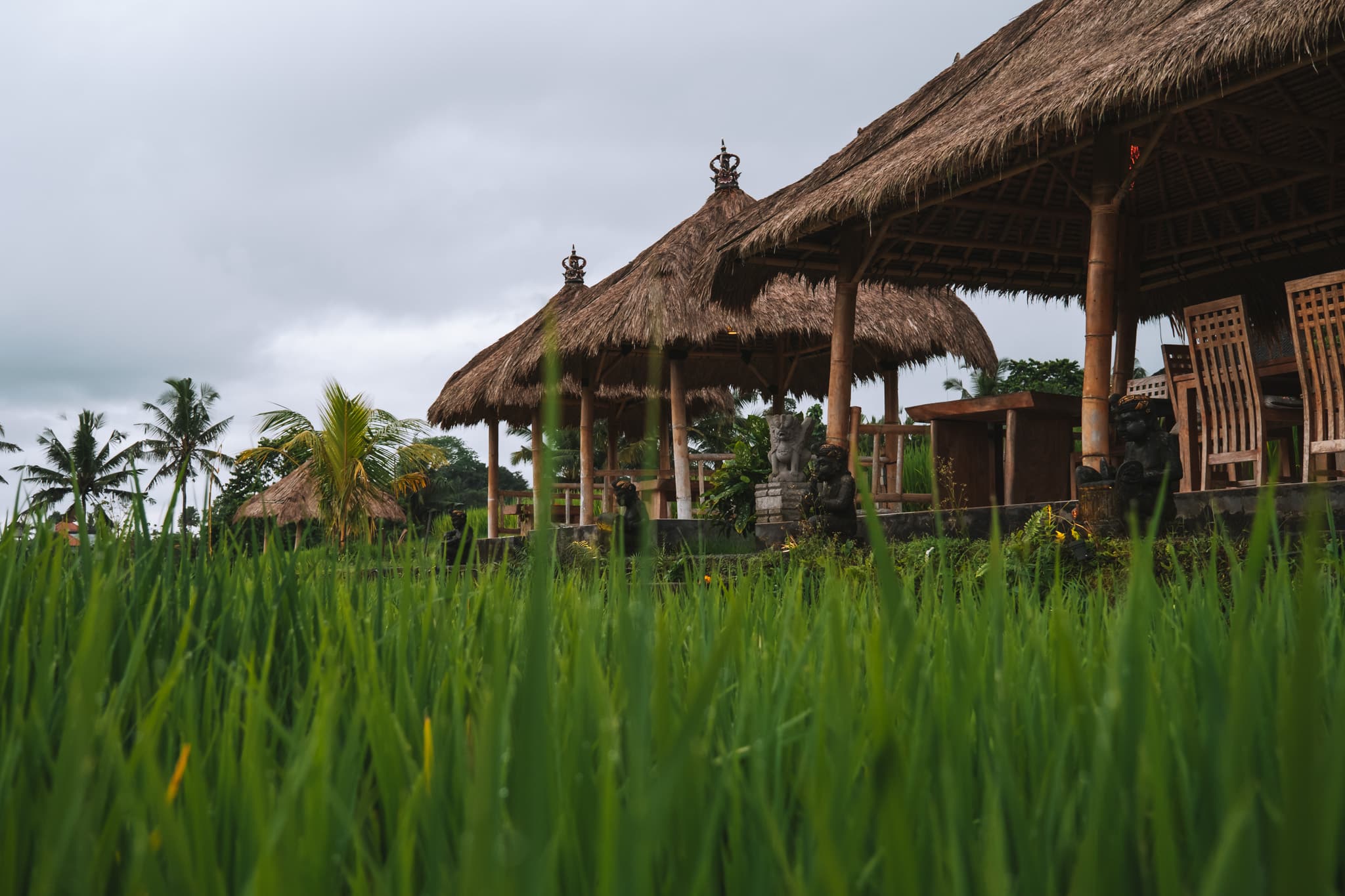 café rizières bali