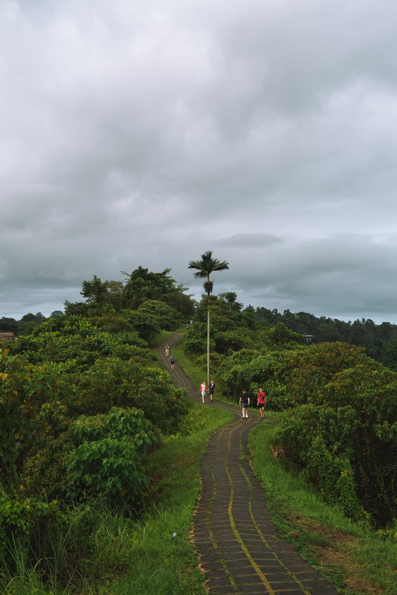 que faire a ubud bali : ridge walk