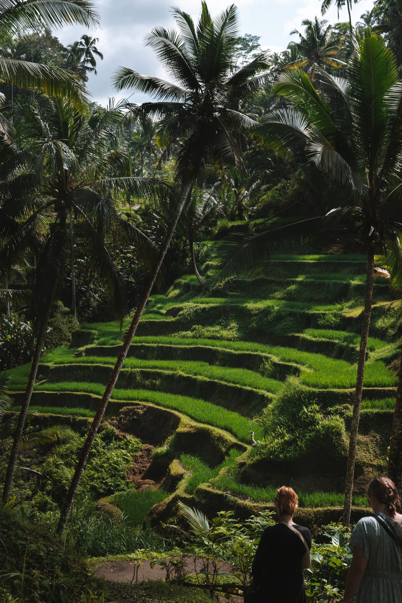 que faire à Ubud : Tegalalang Rice Terrace