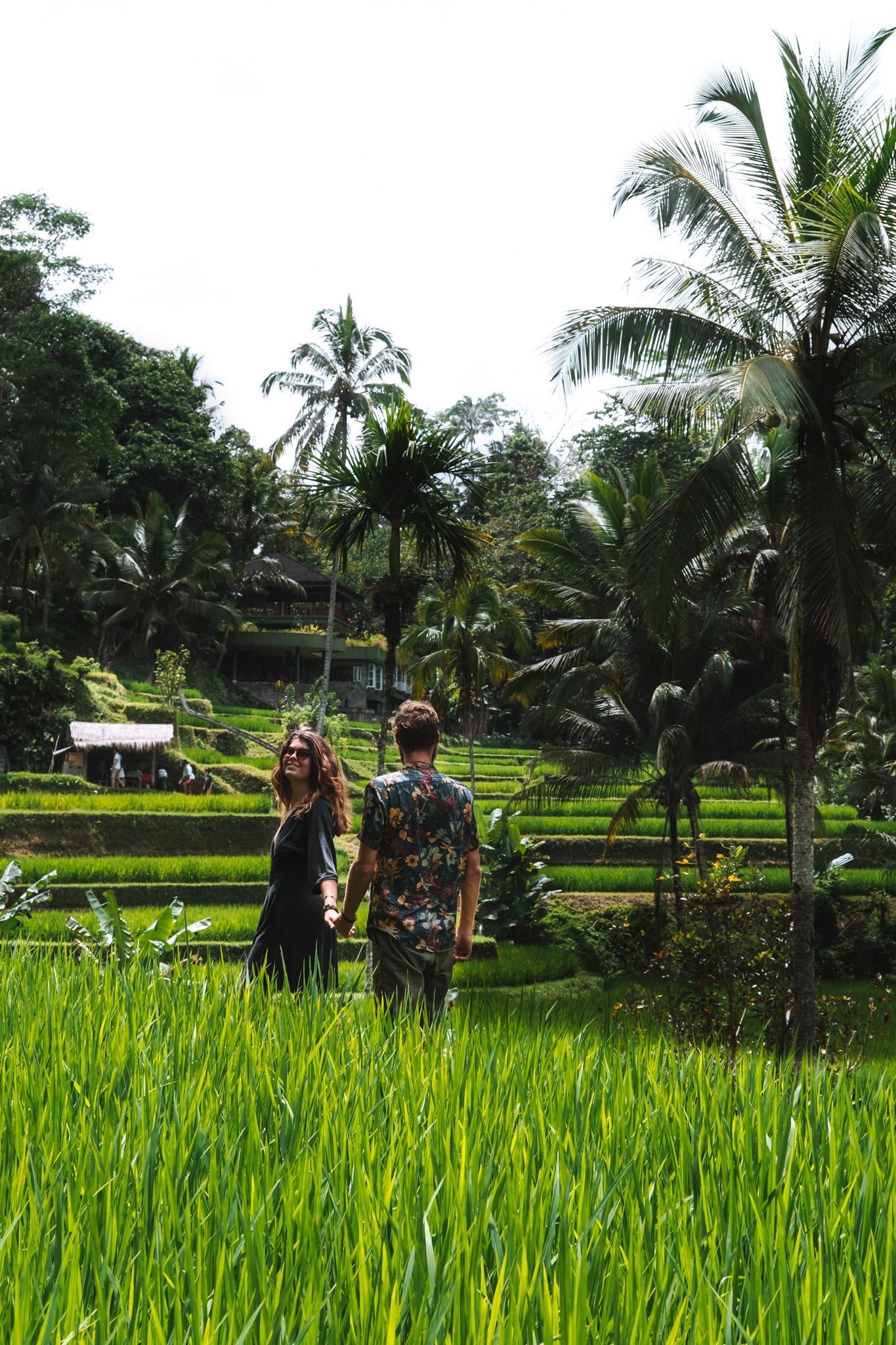 tegalalang rice fields bali