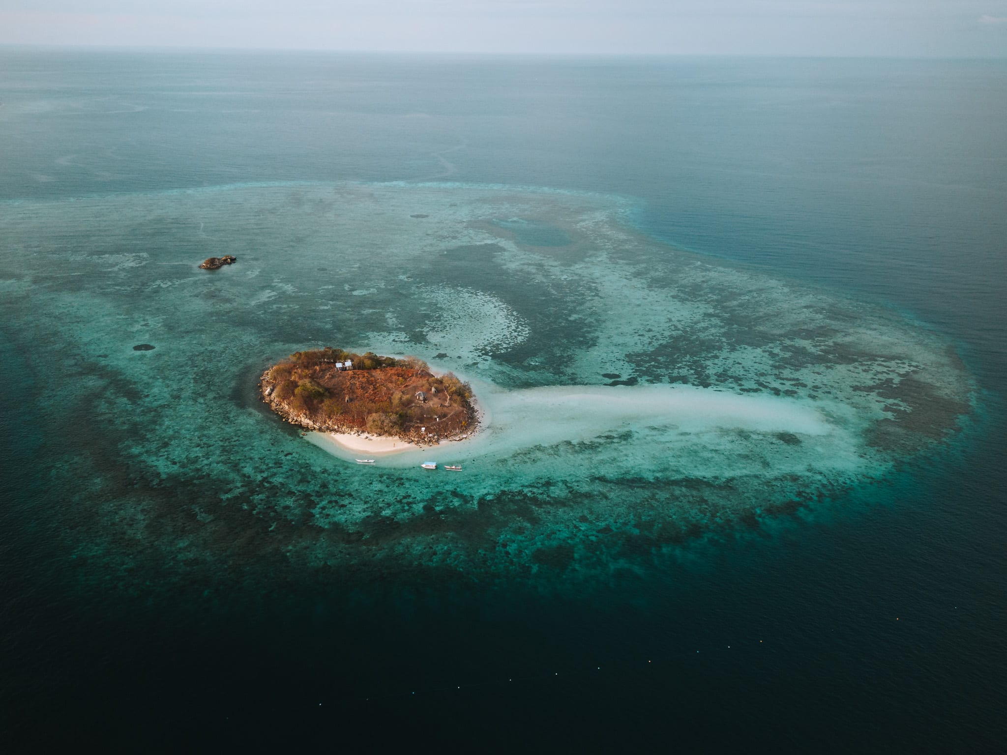 pulau hatamin avec coral guardian