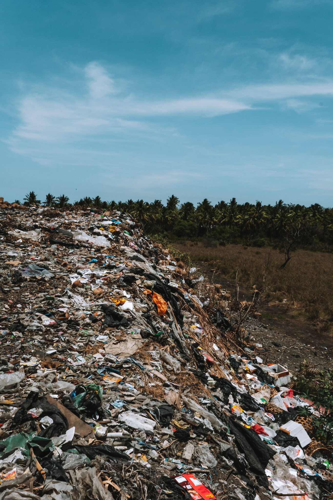 palmiers et dechets recyclage gili eco trust