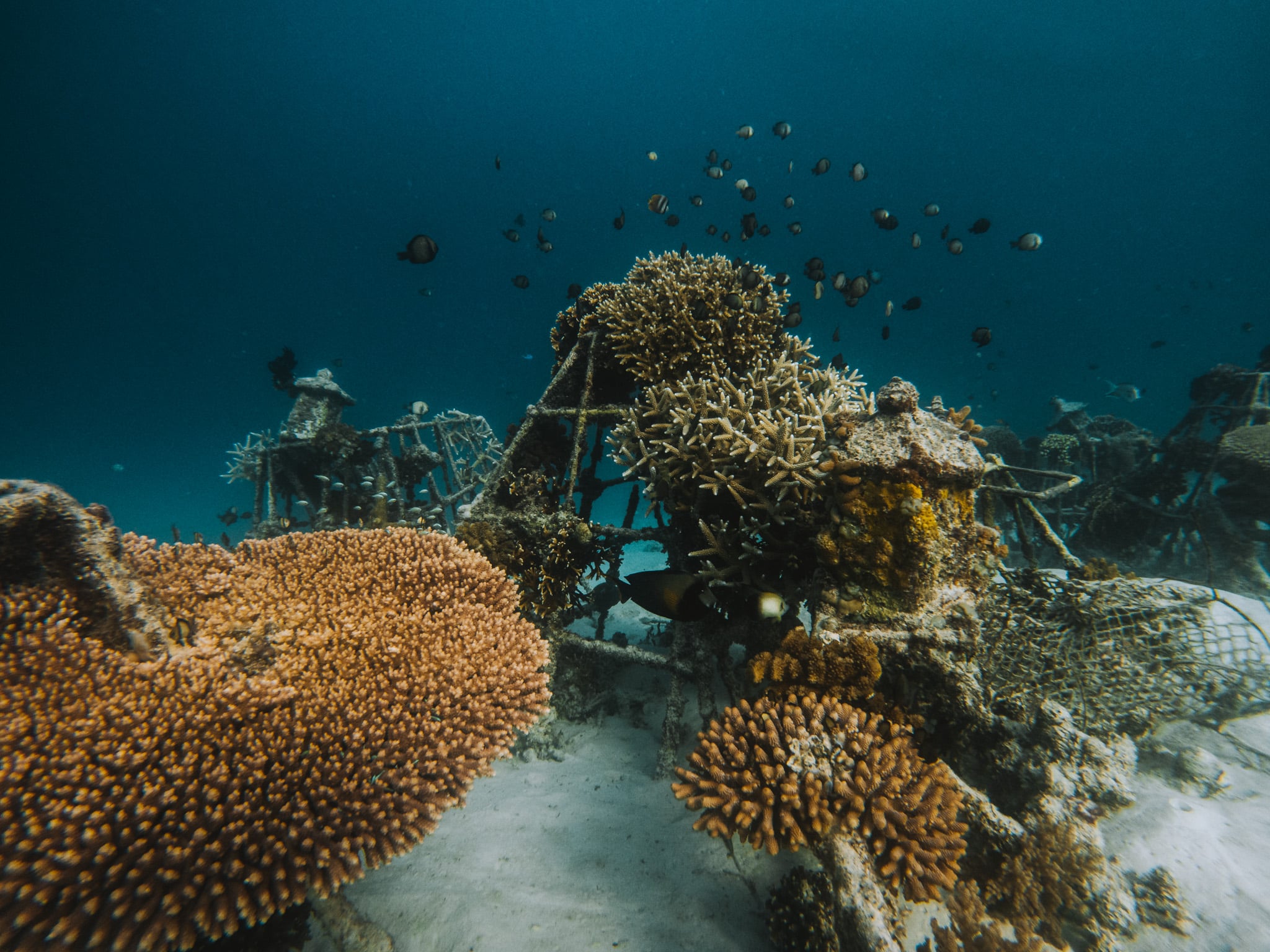 biorock gili trawagan gili eco trust