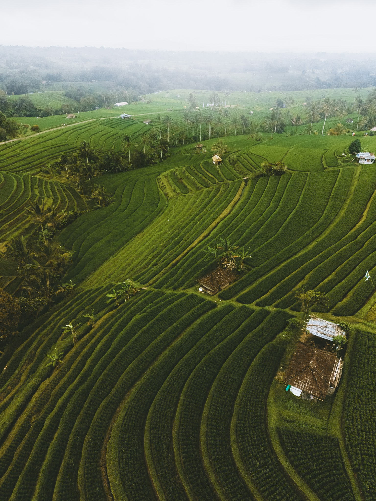 indonesie_munduk_drone-0090 visiter Jatiluwih depuis Munduk