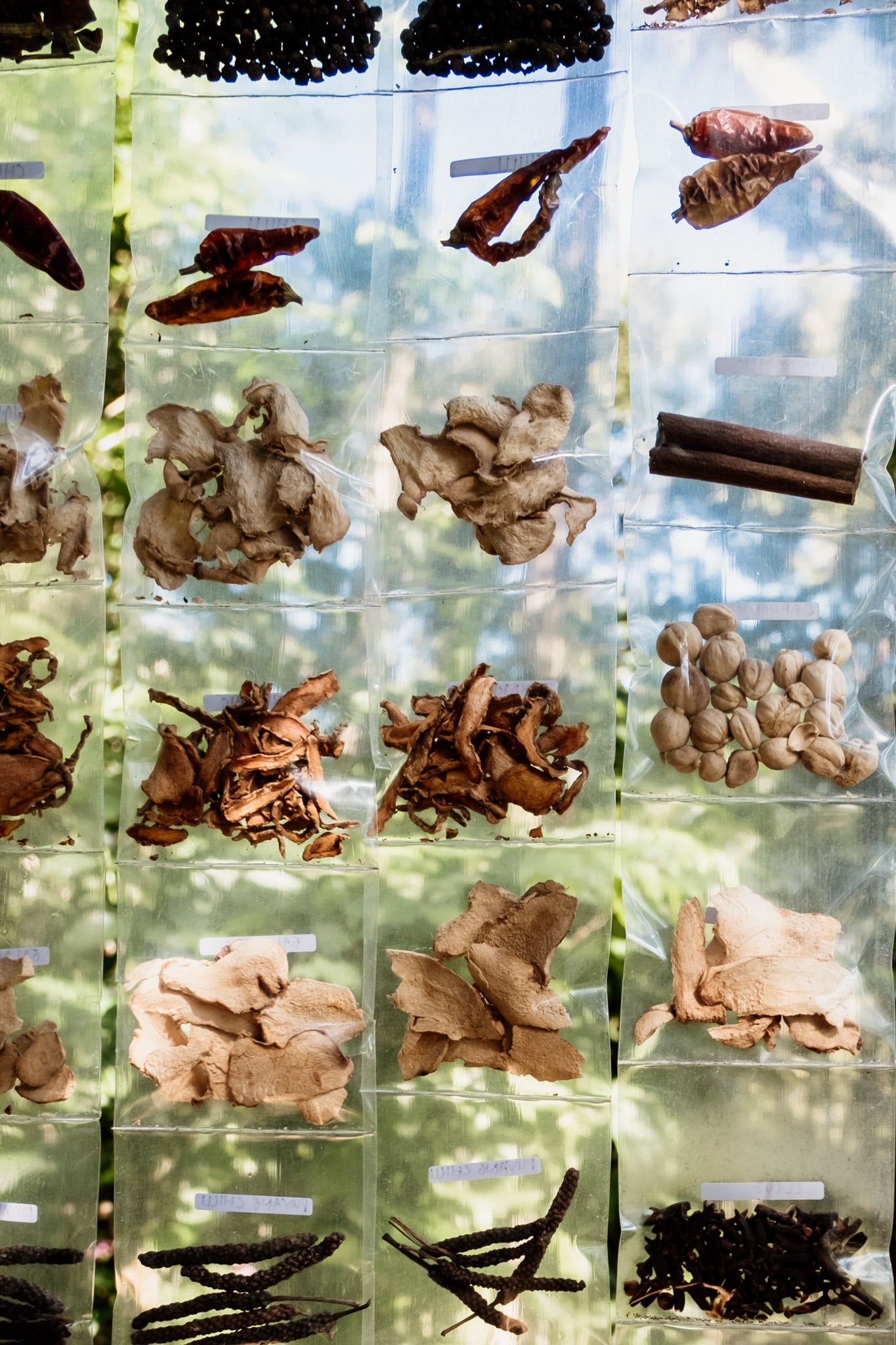 mundu_rando_munduk-7359