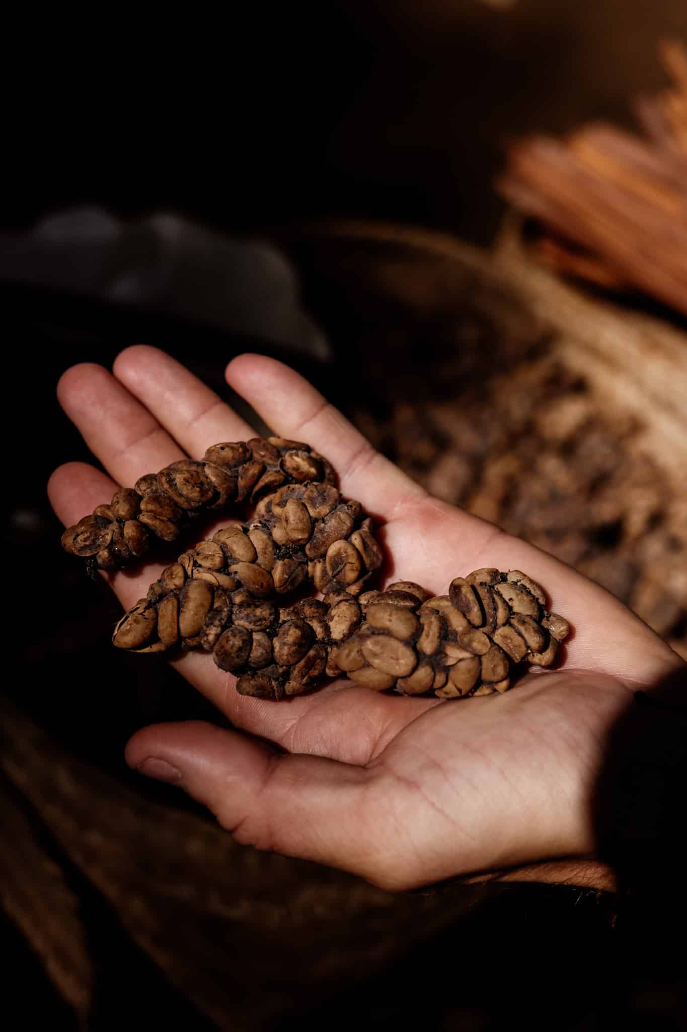 mundu_rando_munduk-7396 café luwak munduk